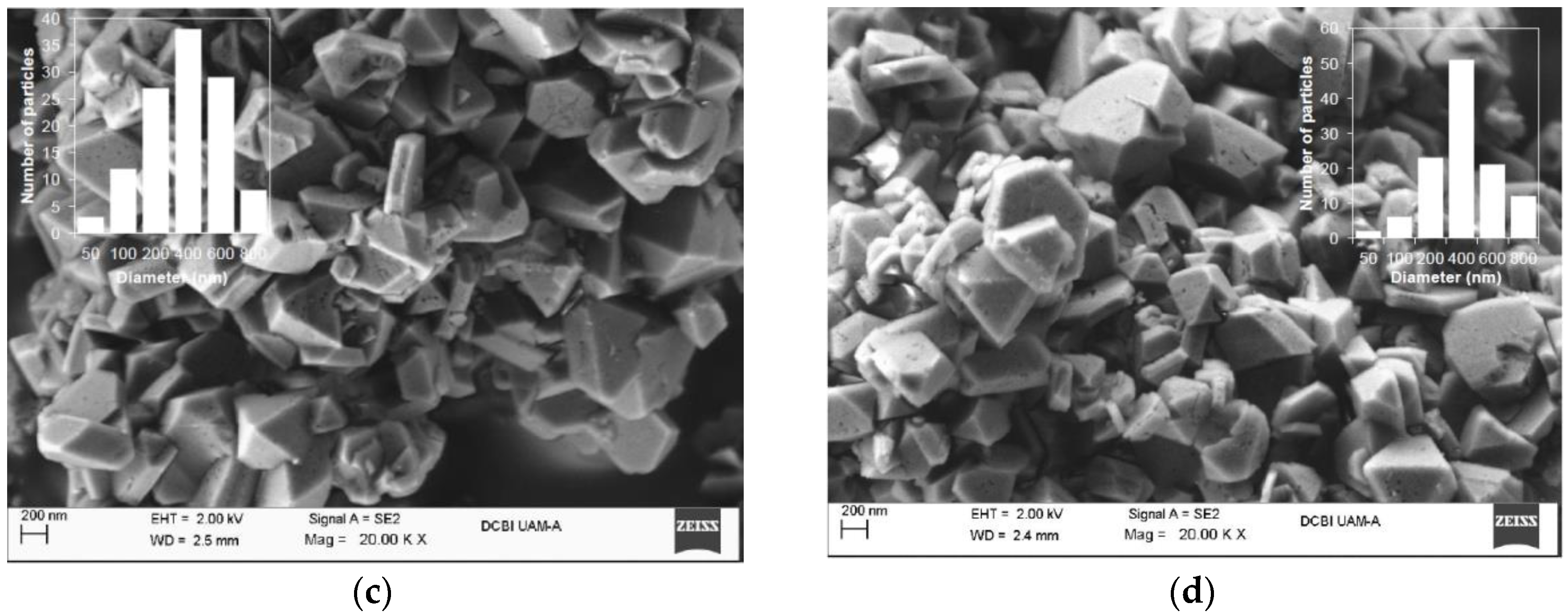 Catalysts 13 00652 g006b