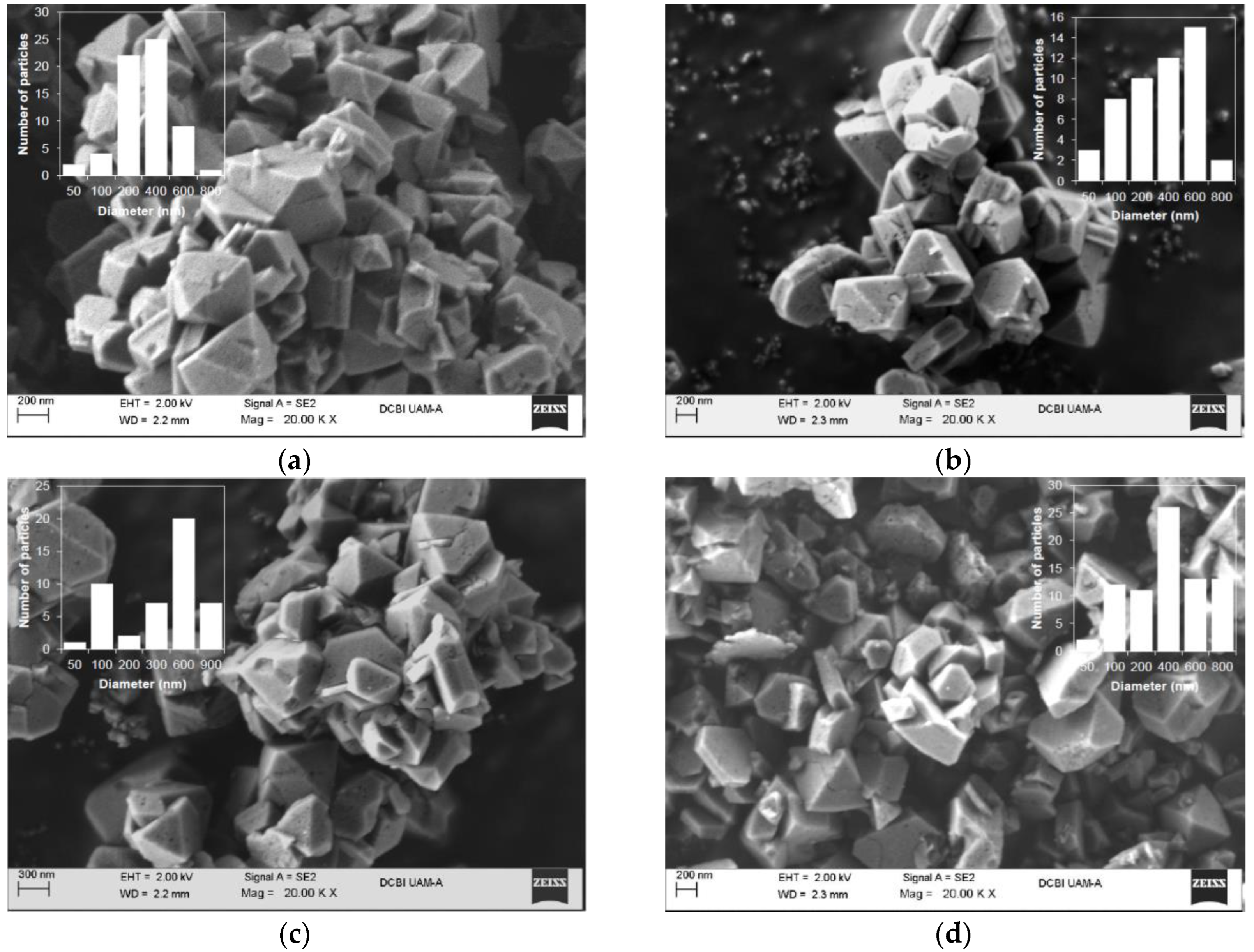 Catalysts 13 00652 g015