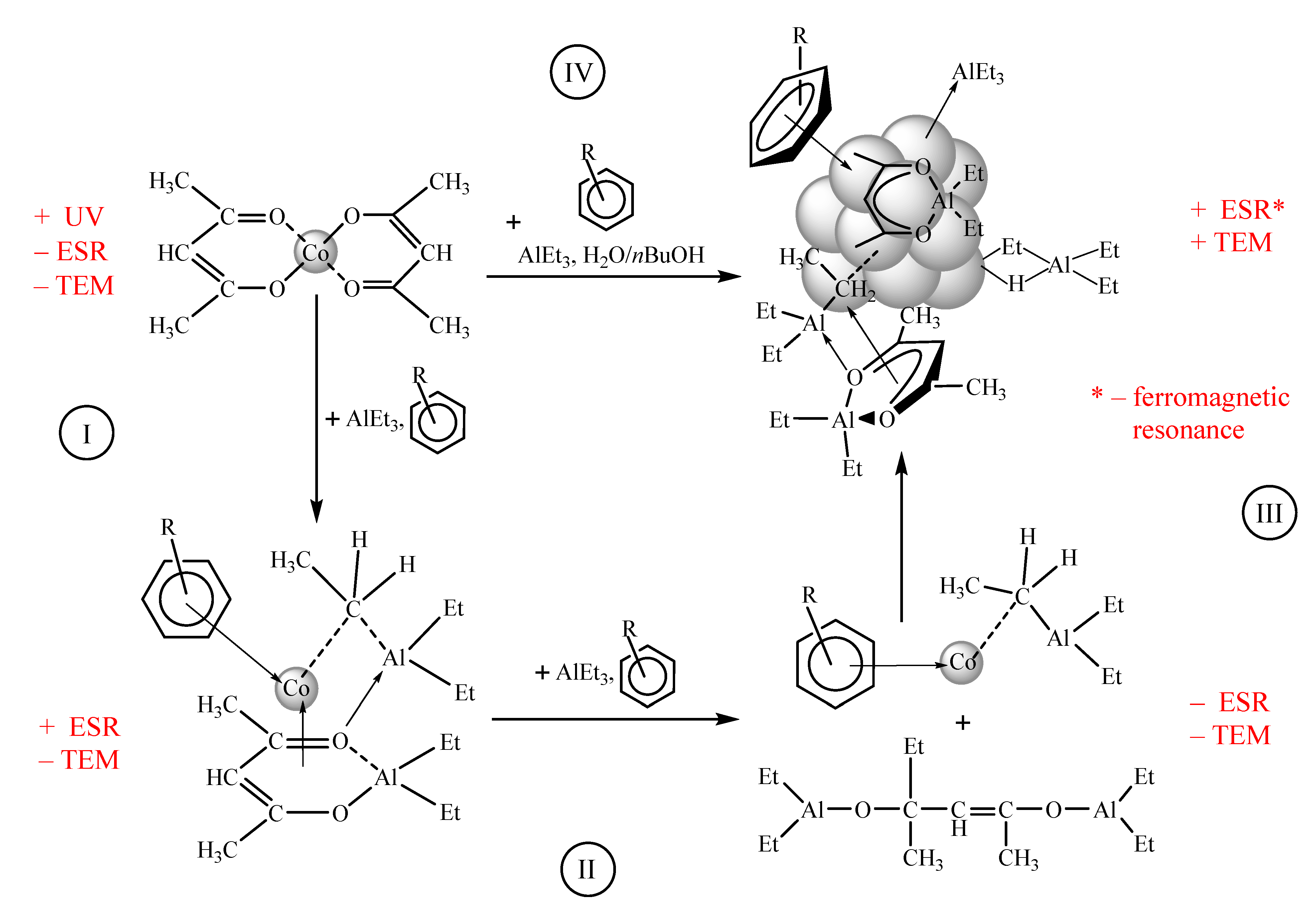 Catalysts 13 00653 sch001