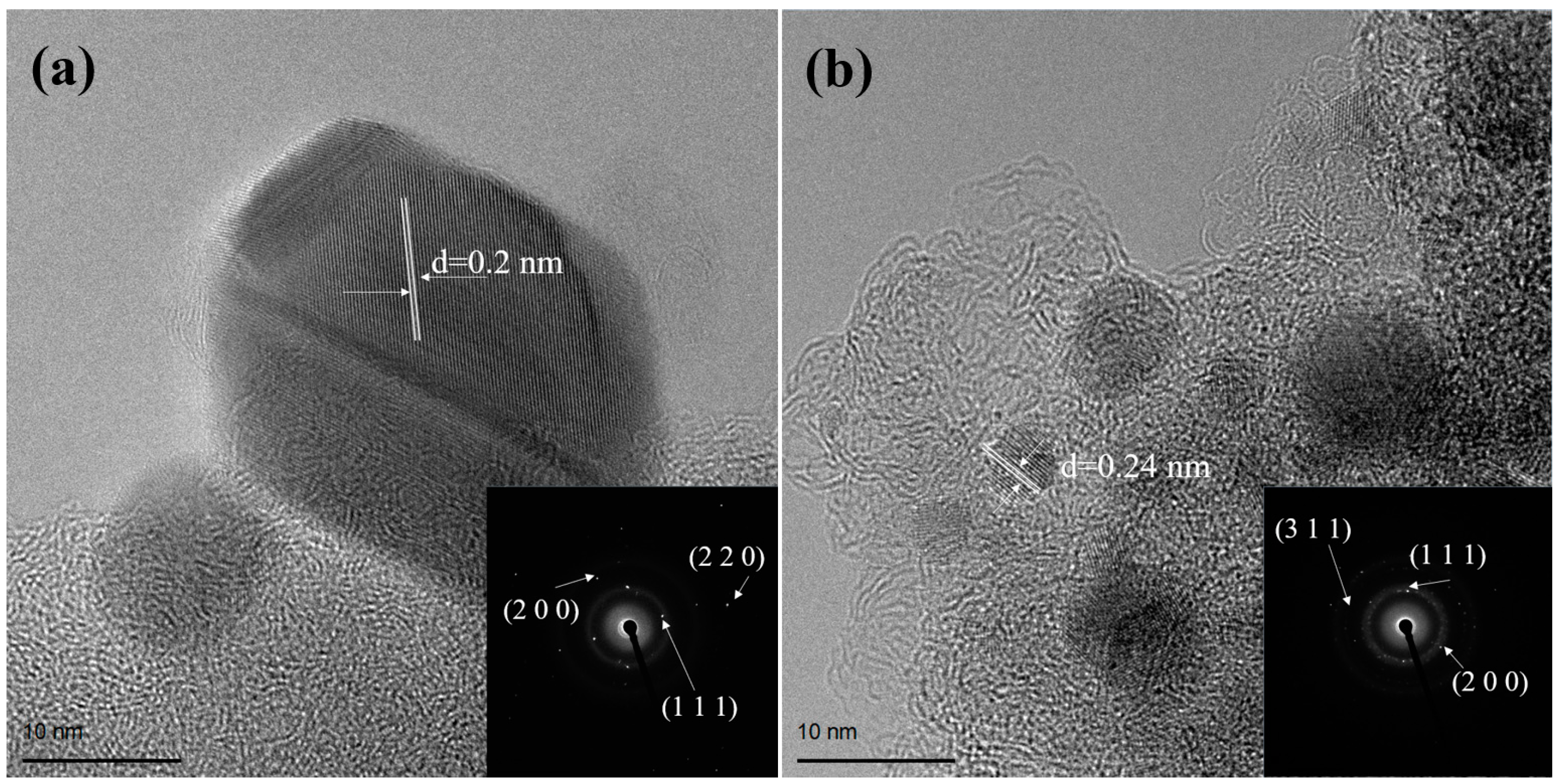 Catalysts 13 00654 g001