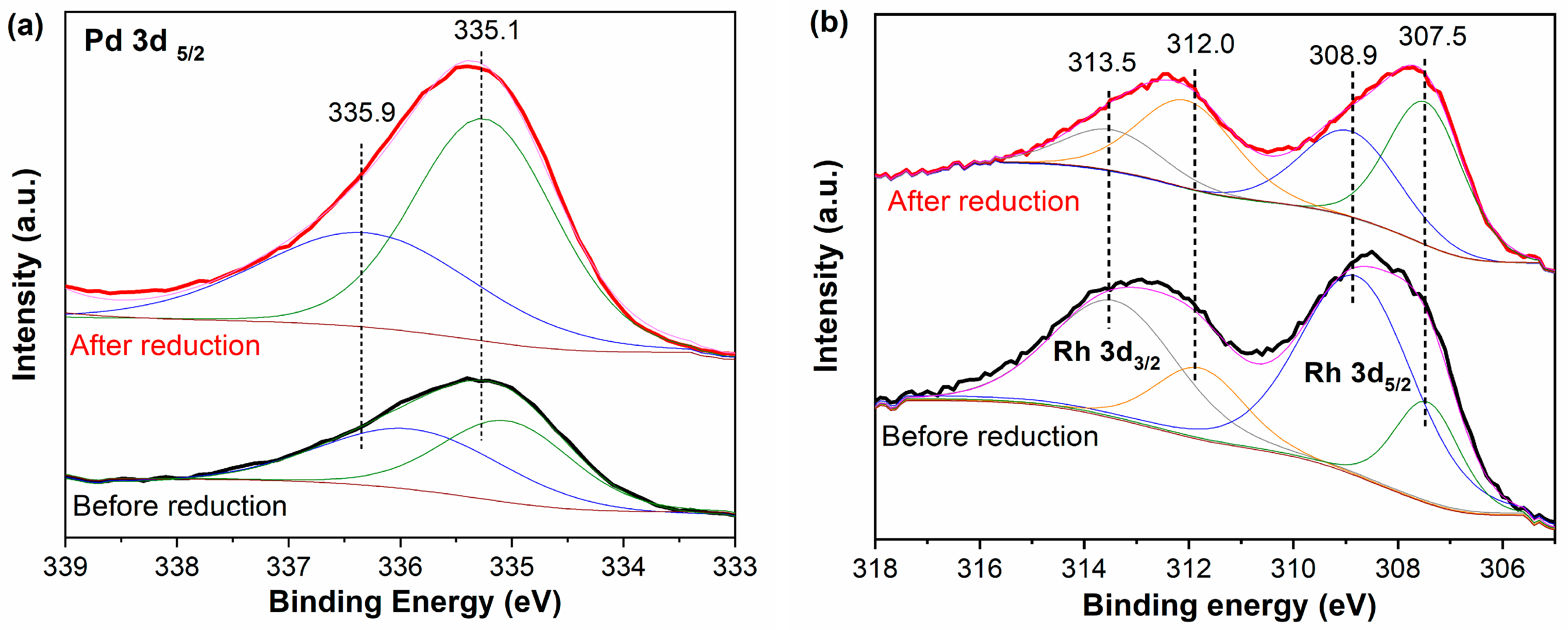 Catalysts 13 00654 g002