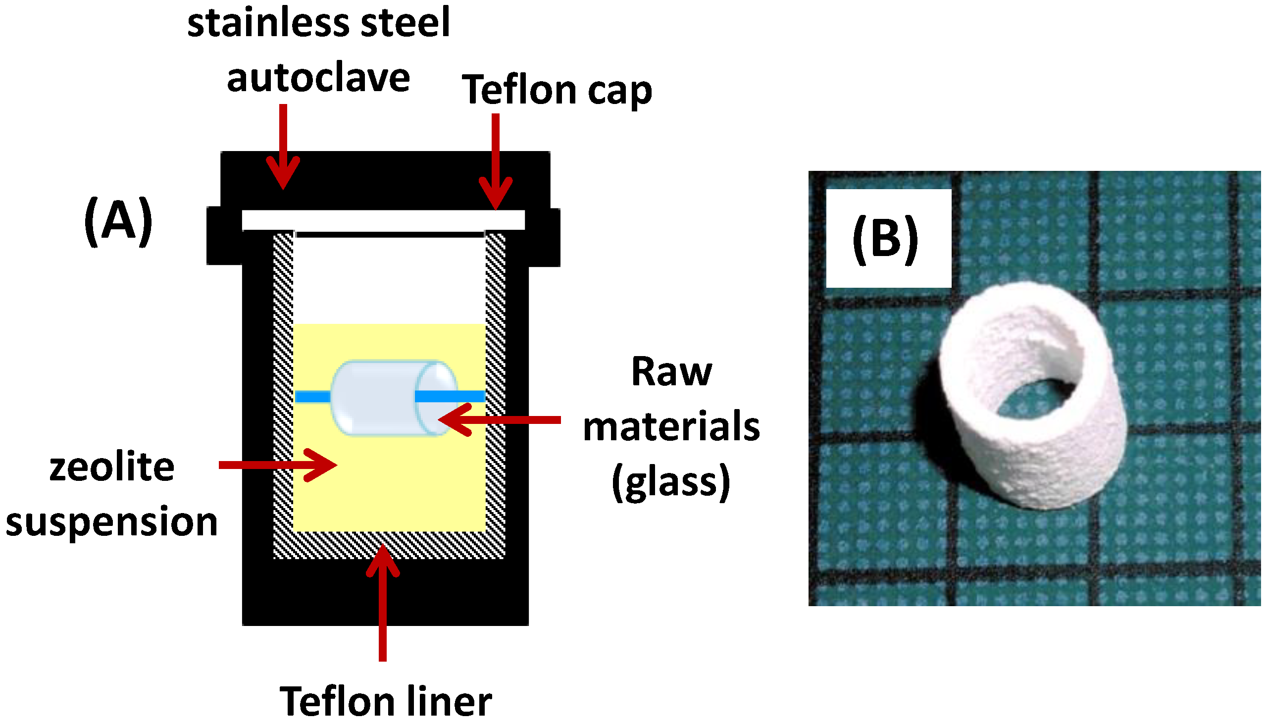 Catalysts 13 00656 g004 Catalysts 13 00656 g004