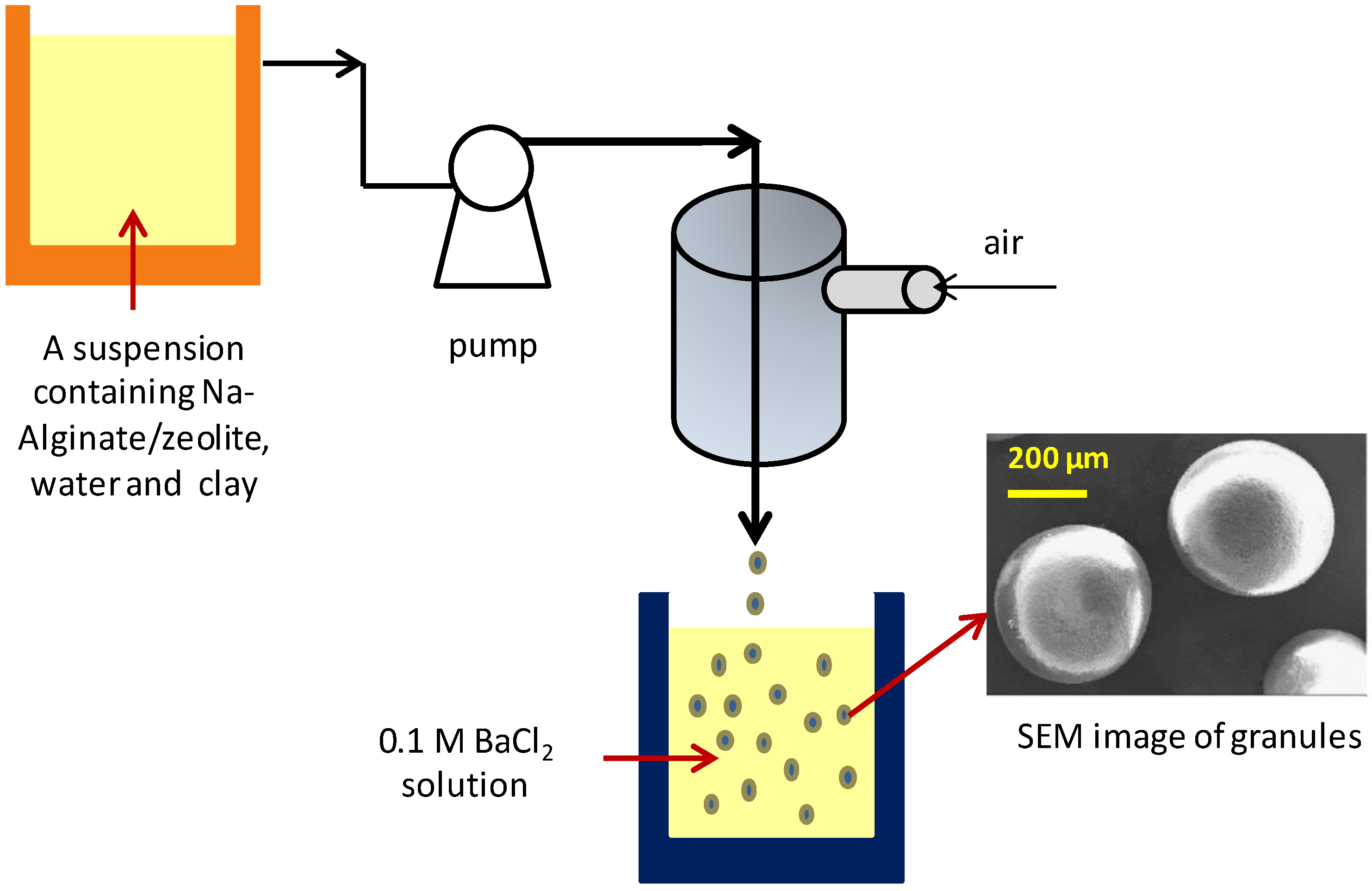 Catalysts 13 00656 g005 Catalysts 13 00656 g005