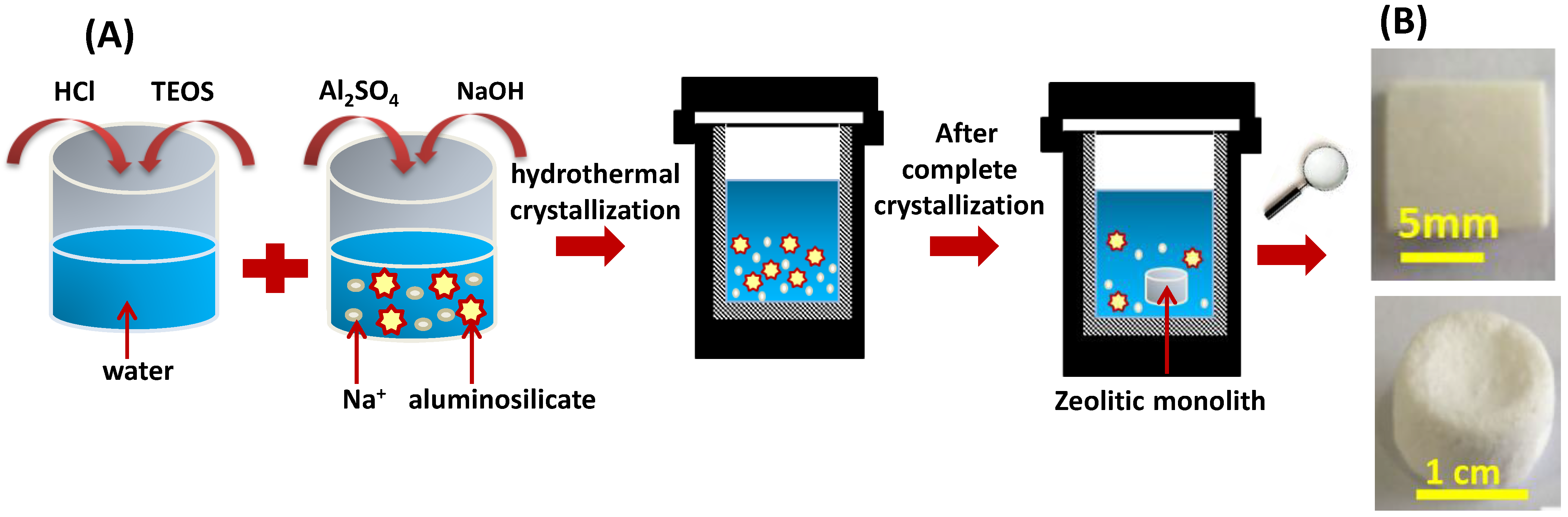 Catalysts 13 00656 g007 Catalysts 13 00656 g007