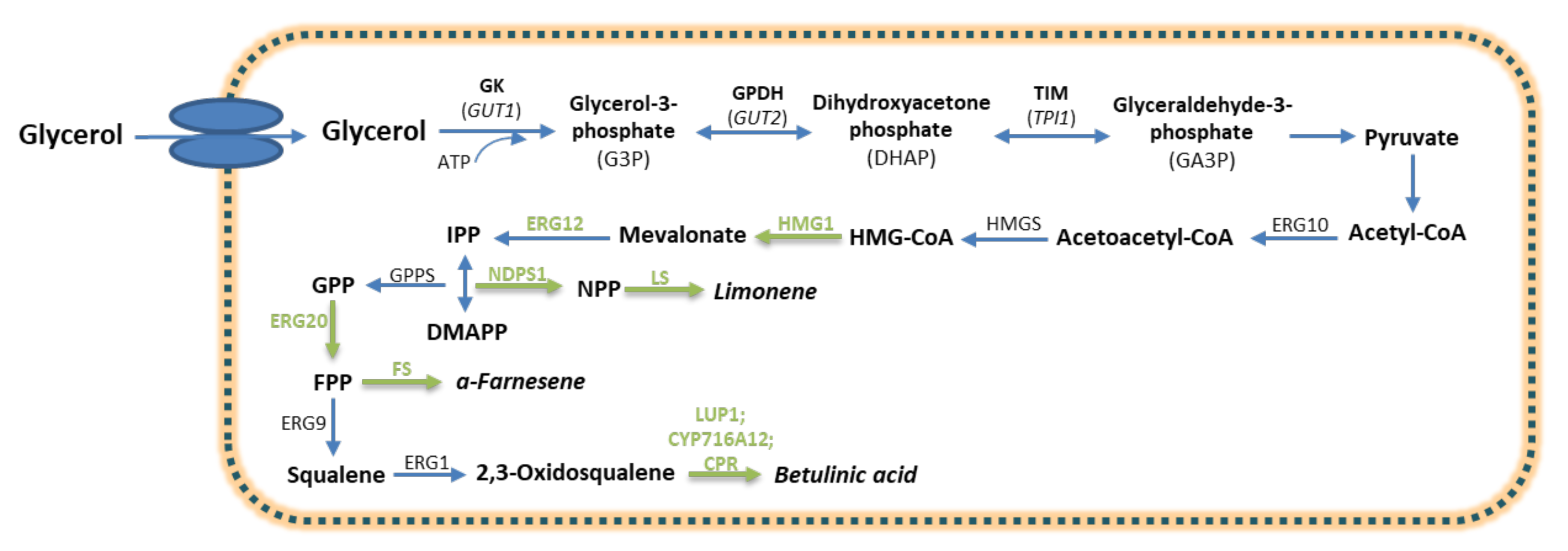 Catalysts 13 00657 g003