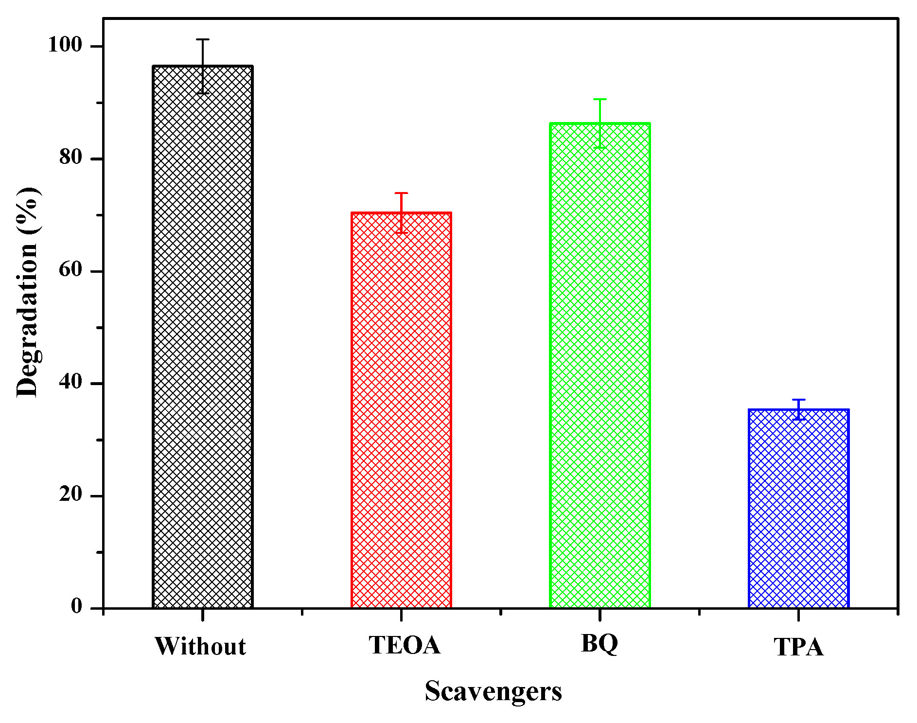 Catalysts 13 00659 g005