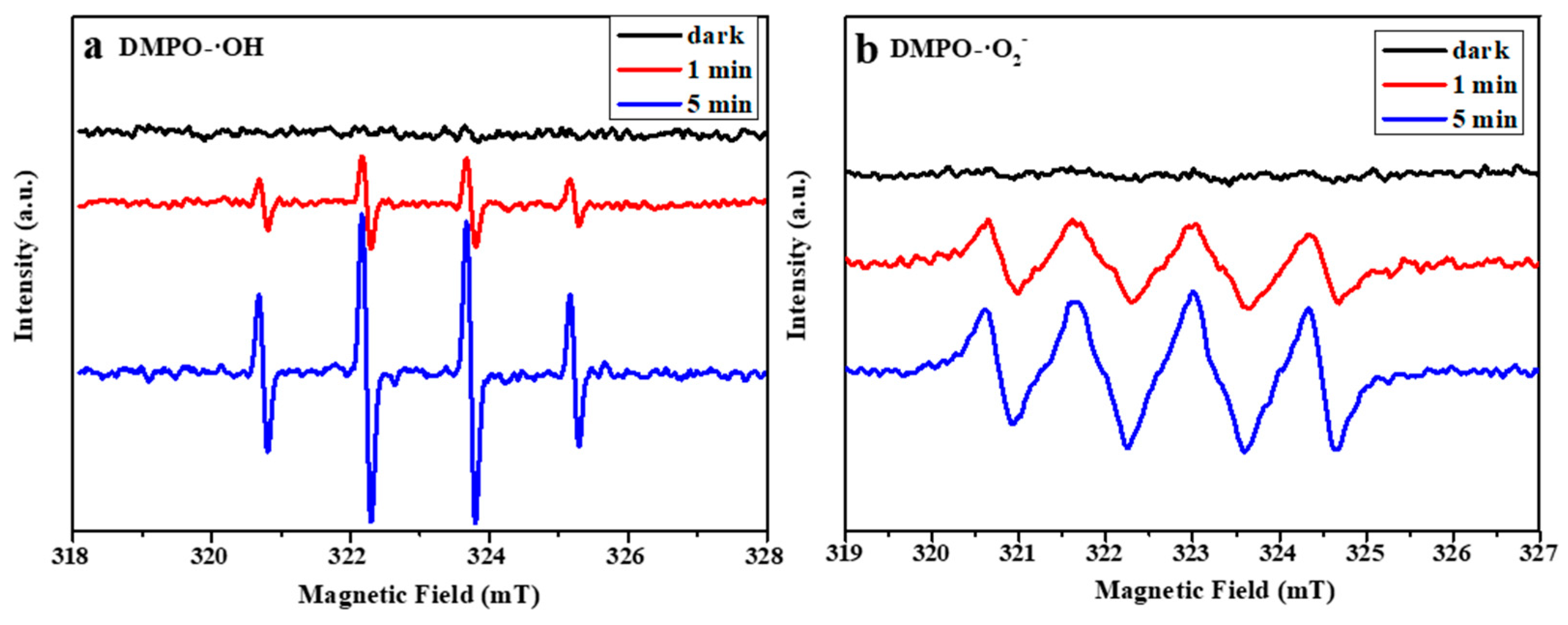 Catalysts 13 00659 g006