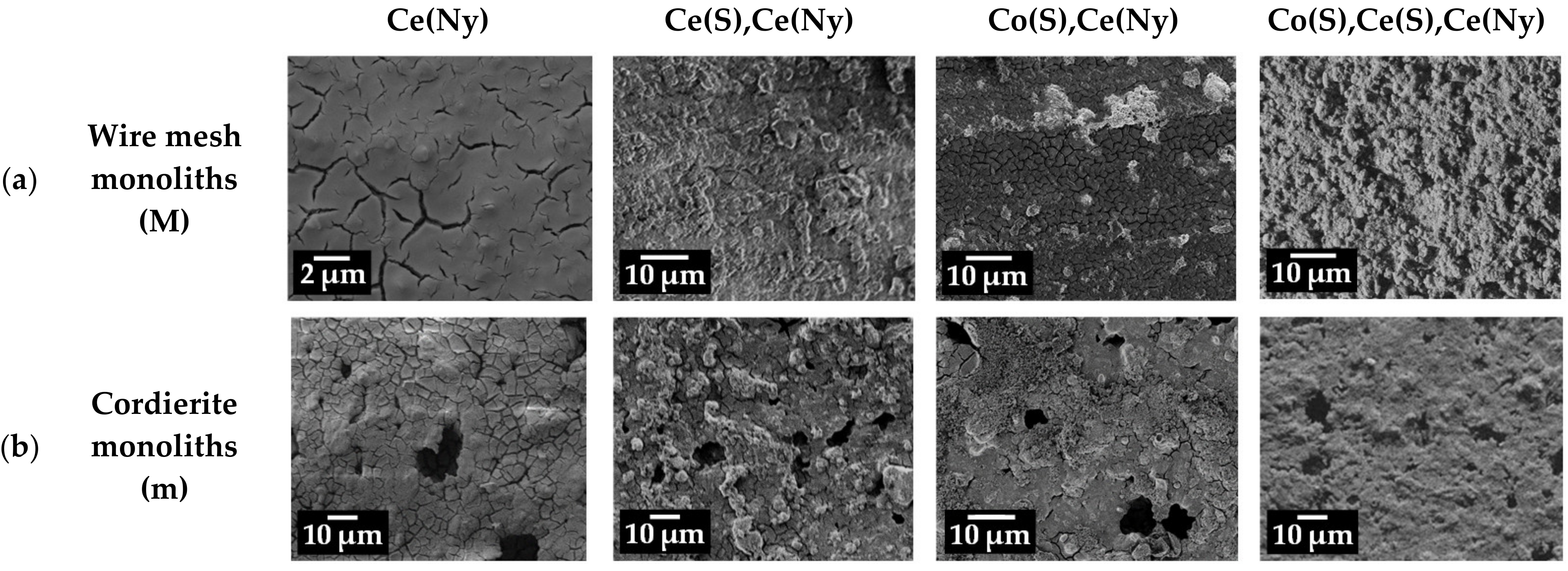 Catalysts 13 00660 g006