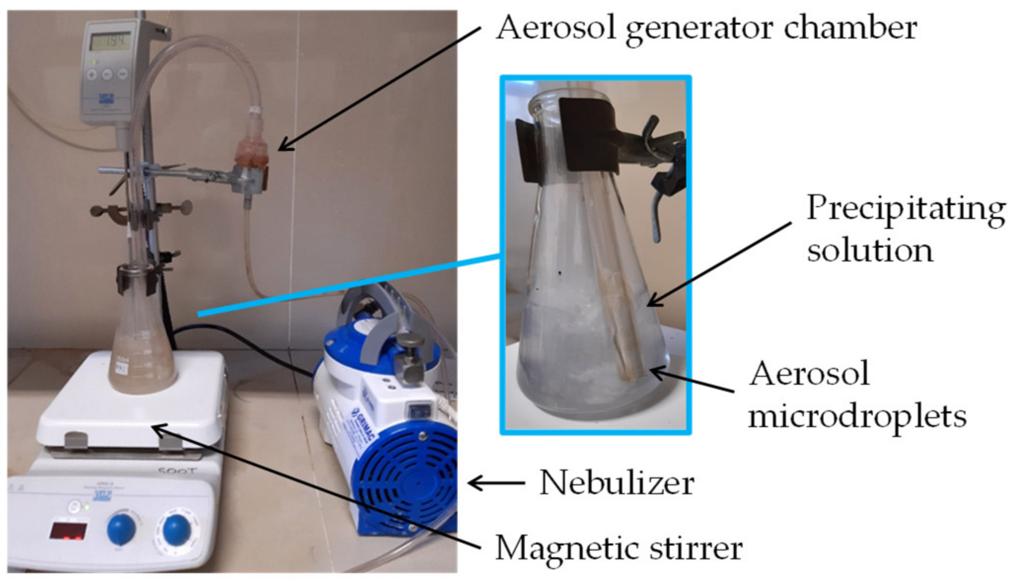 Catalysts 13 00660 g009