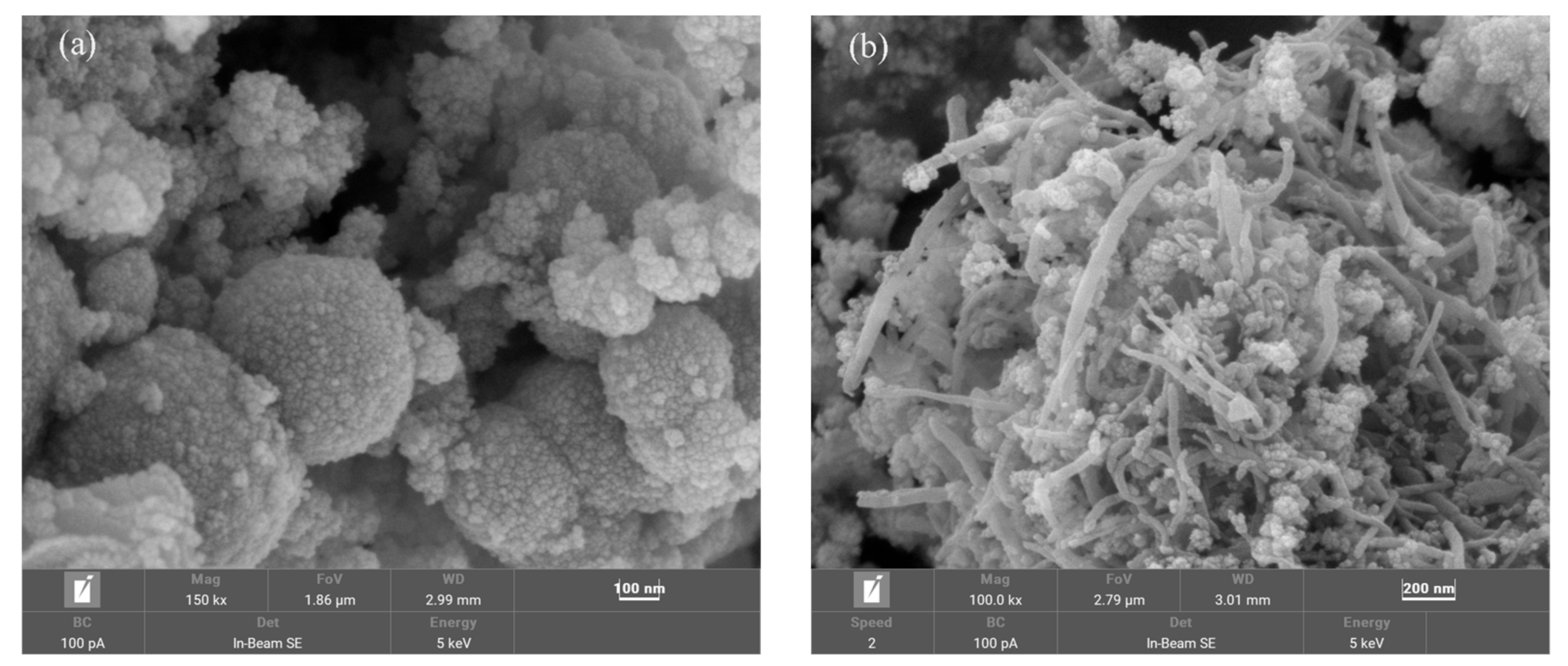 Catalysts 13 00661 g002a