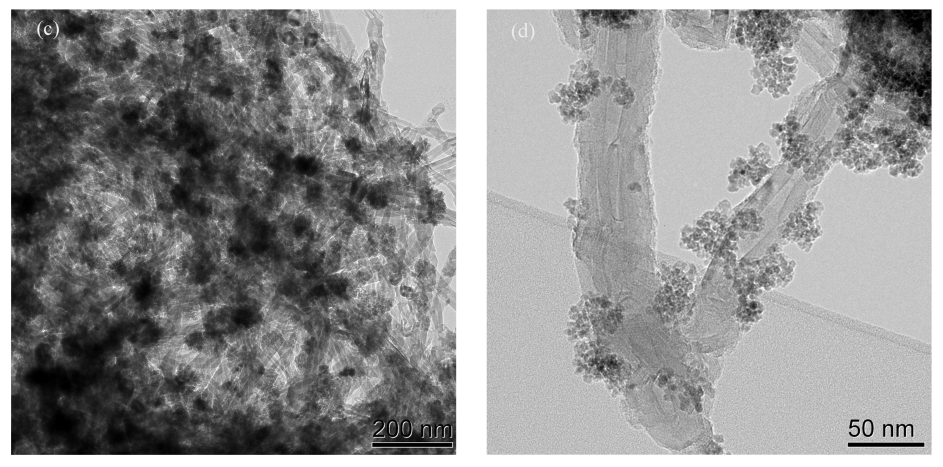 Catalysts 13 00661 g002b