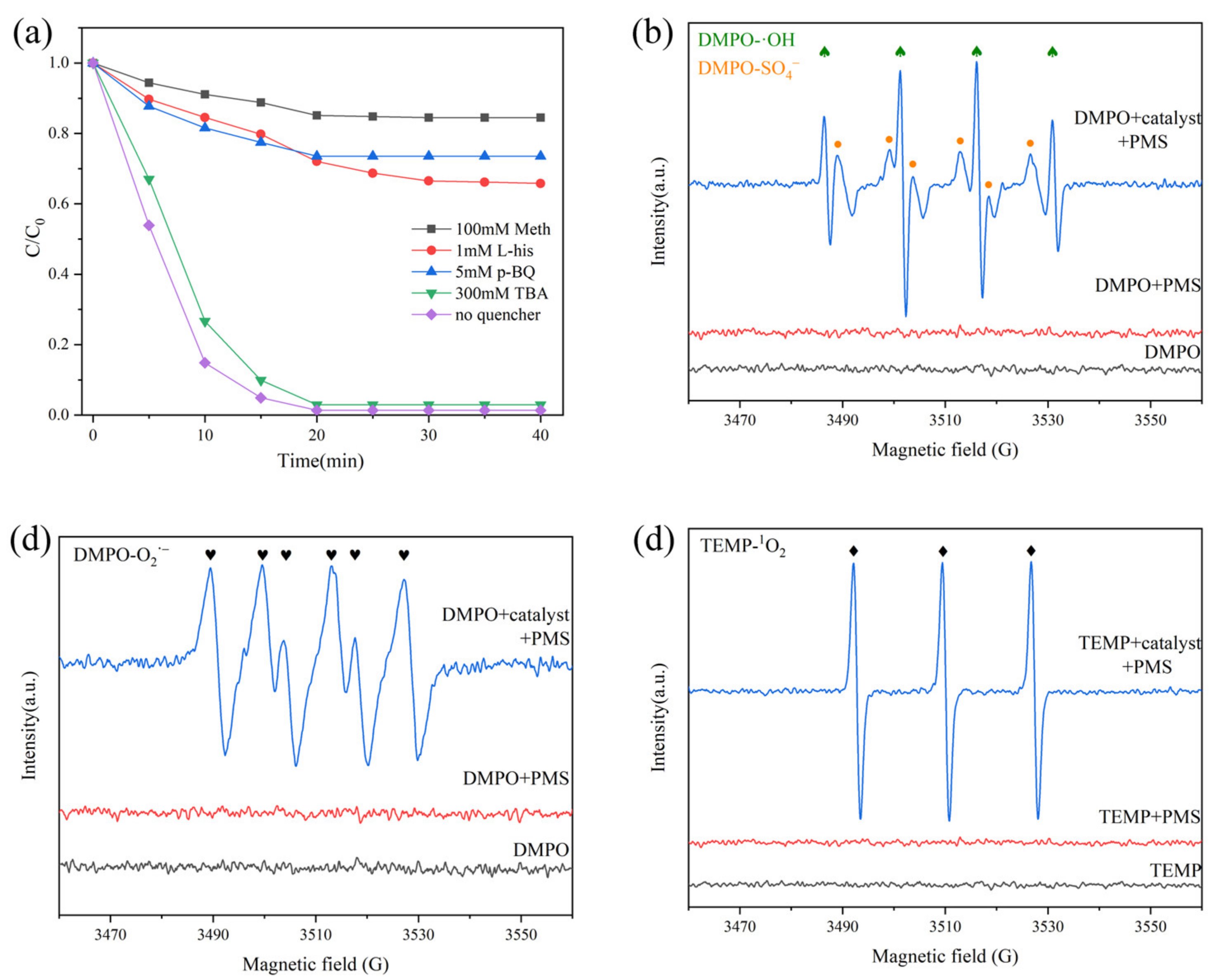 Catalysts 13 00661 g015