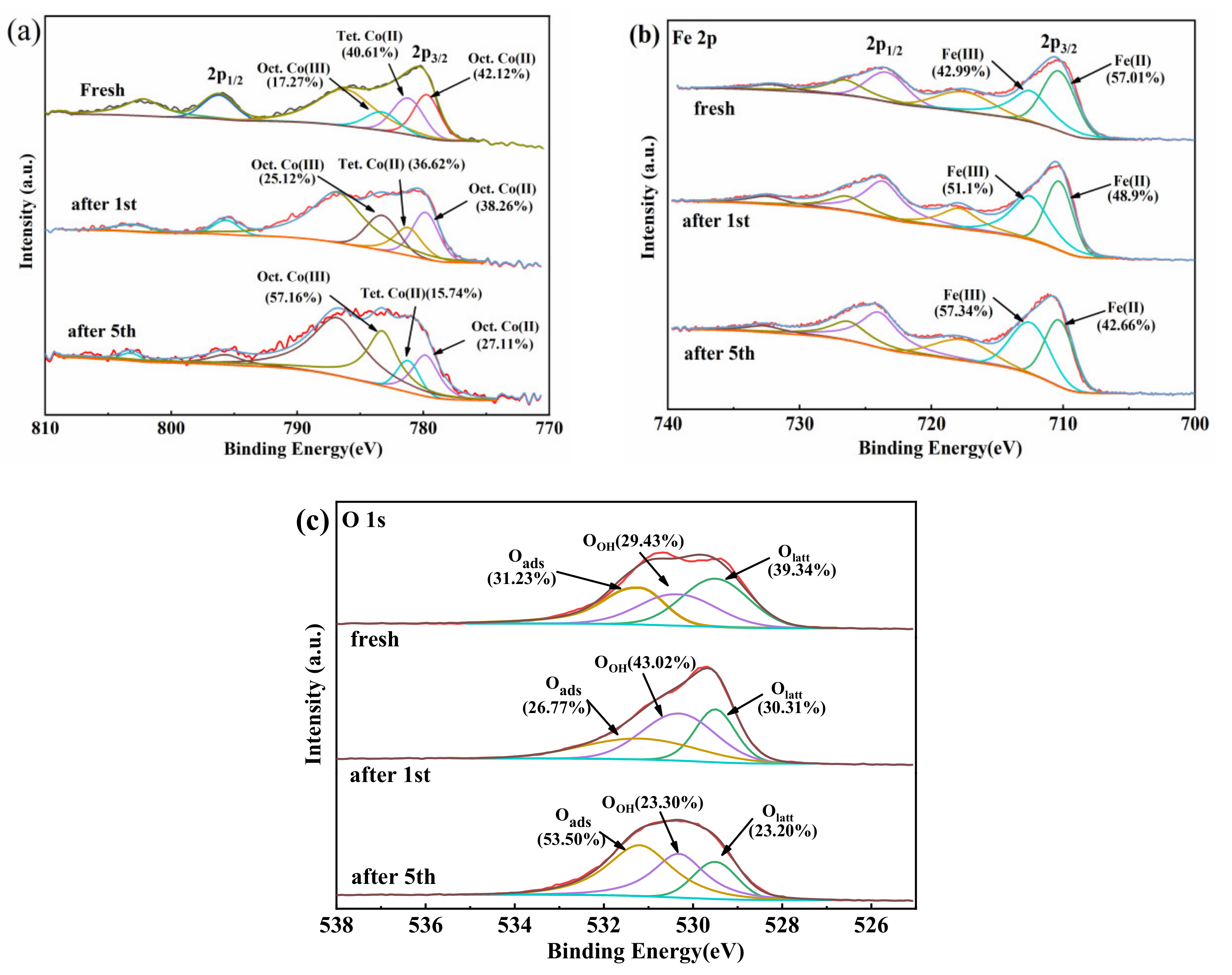 Catalysts 13 00661 g016