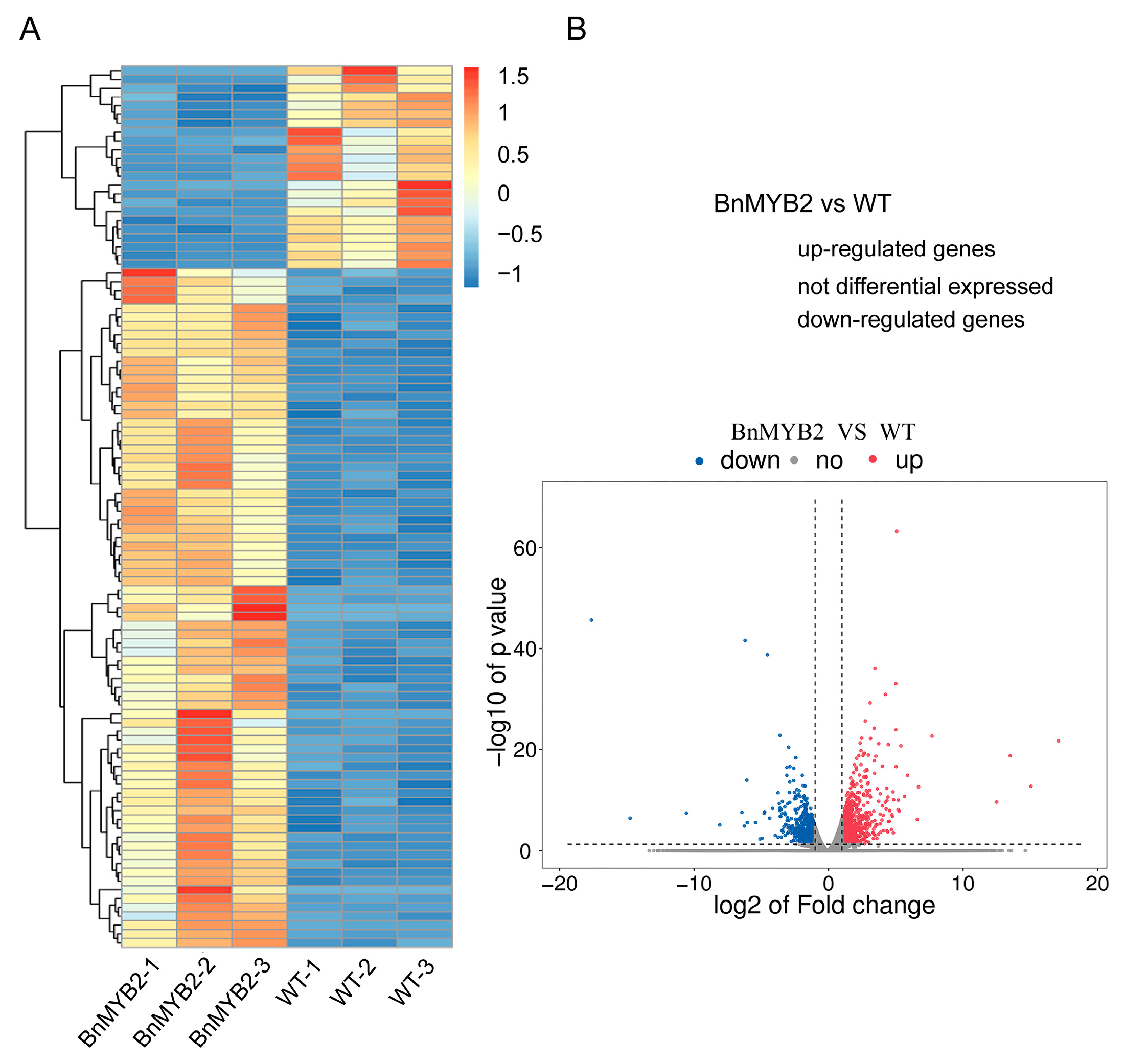 Catalysts 13 00662 g002