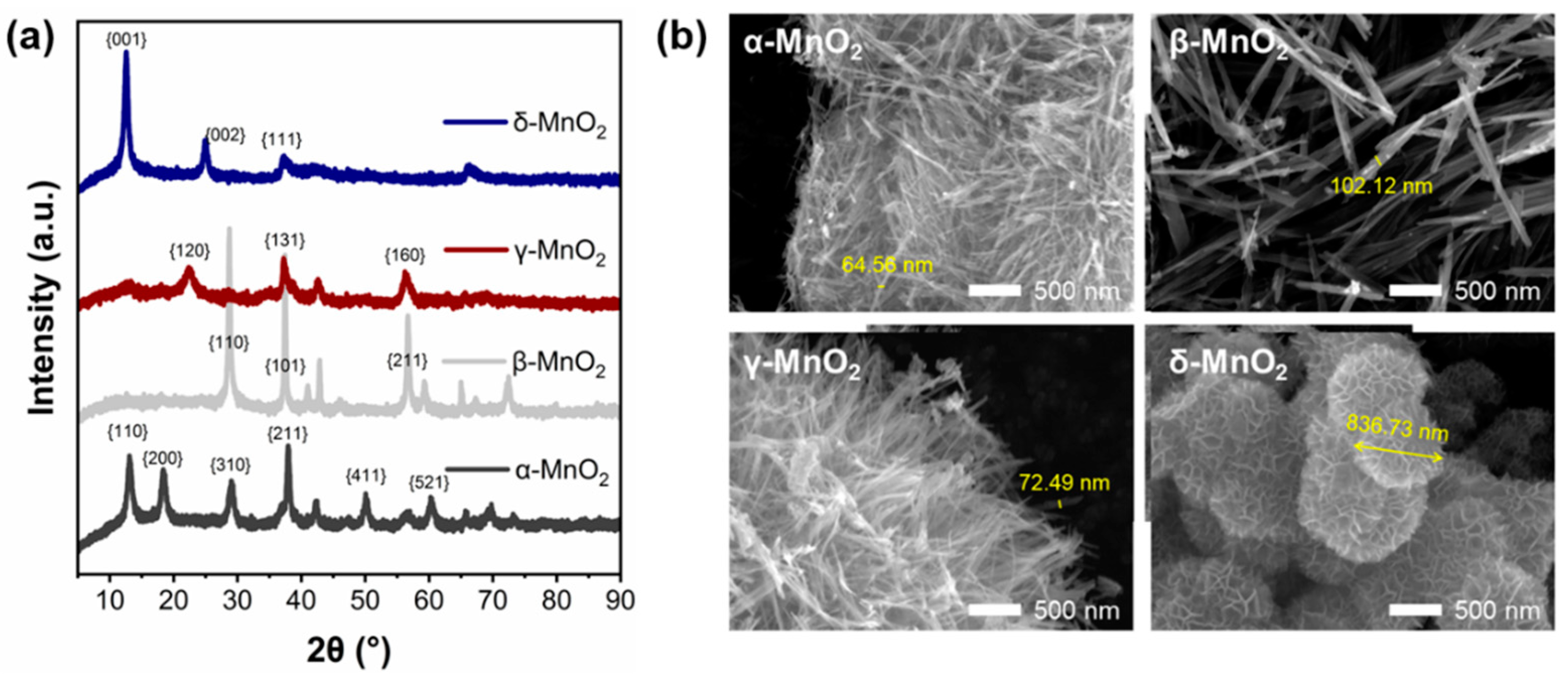 Catalysts 13 00663 g002