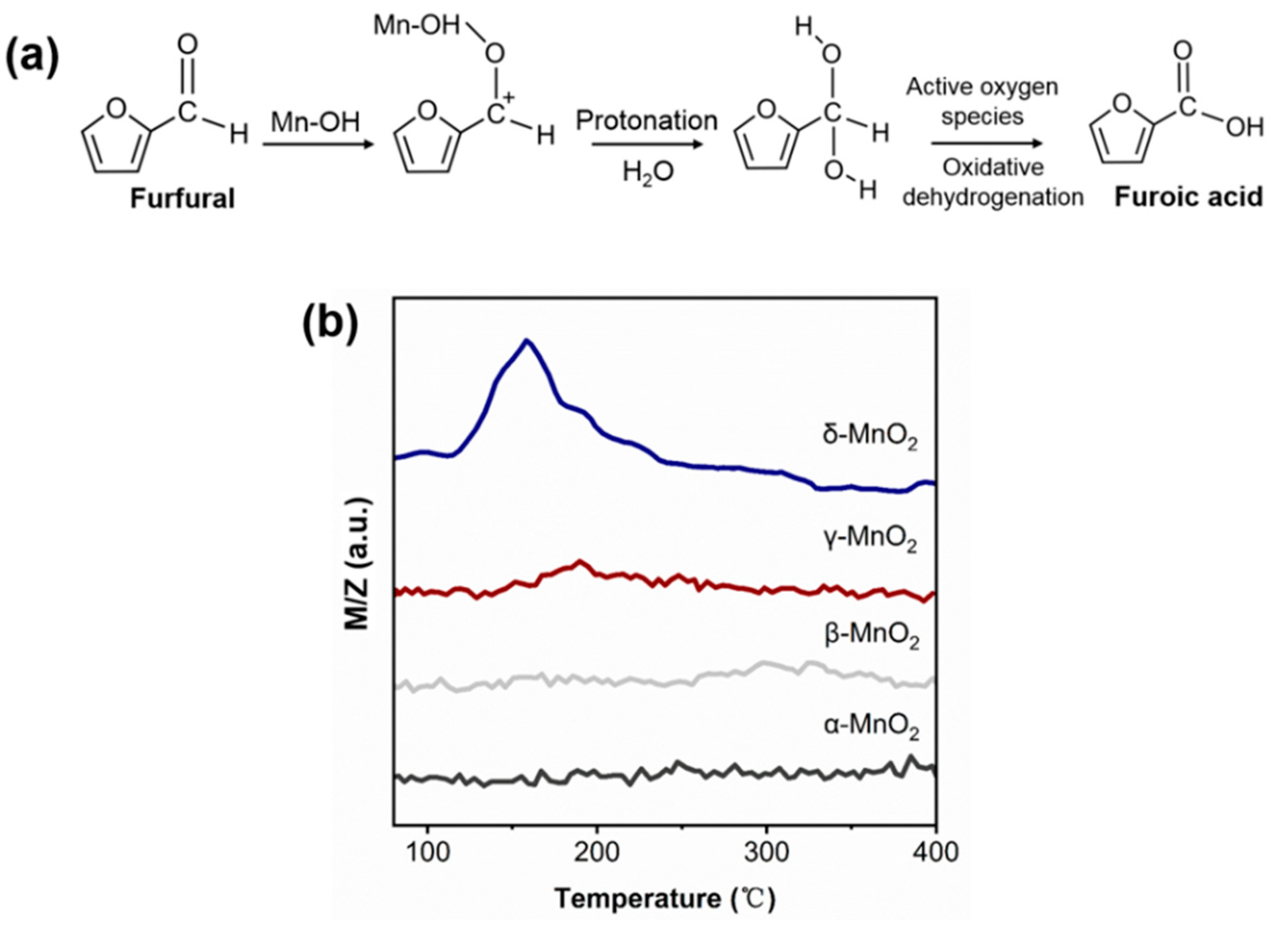 Catalysts 13 00663 g008