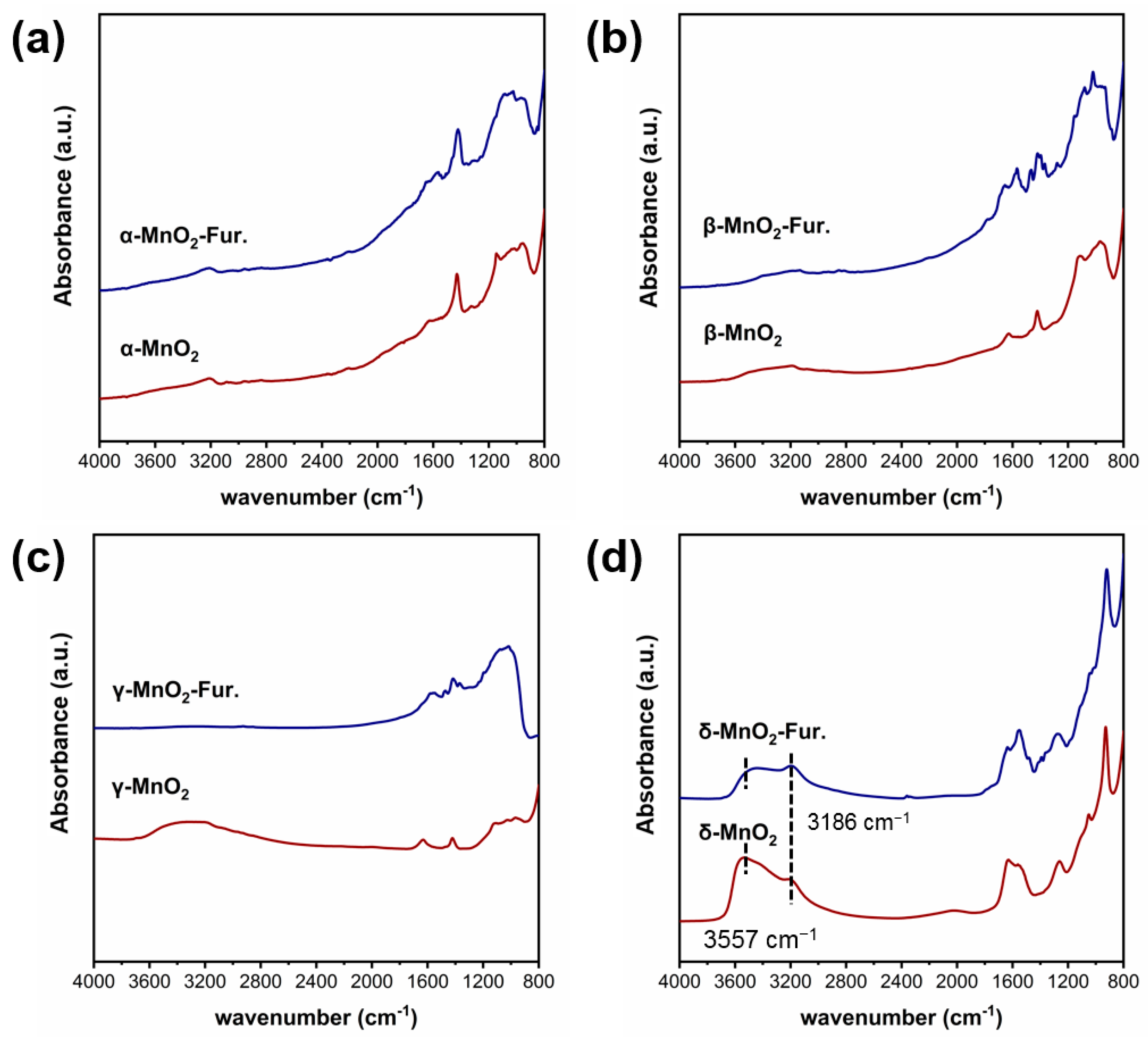Catalysts 13 00663 g009