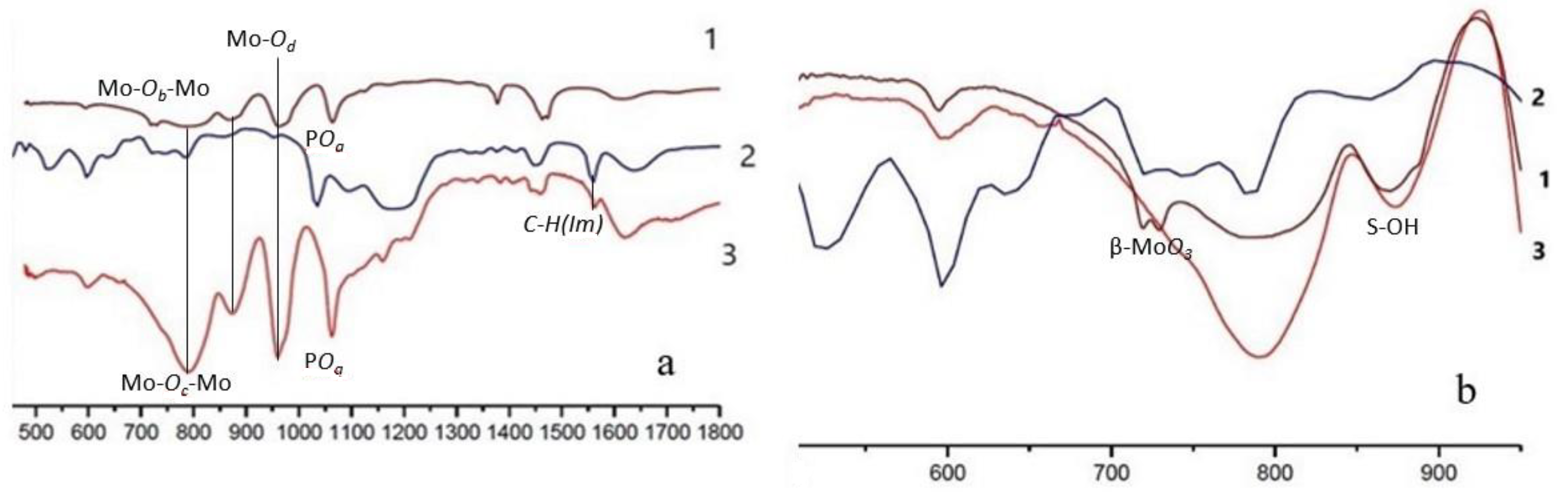 Catalysts 13 00664 g002