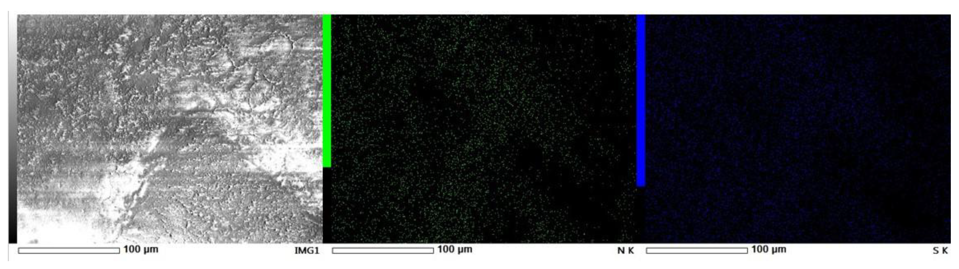 Catalysts 13 00664 g004