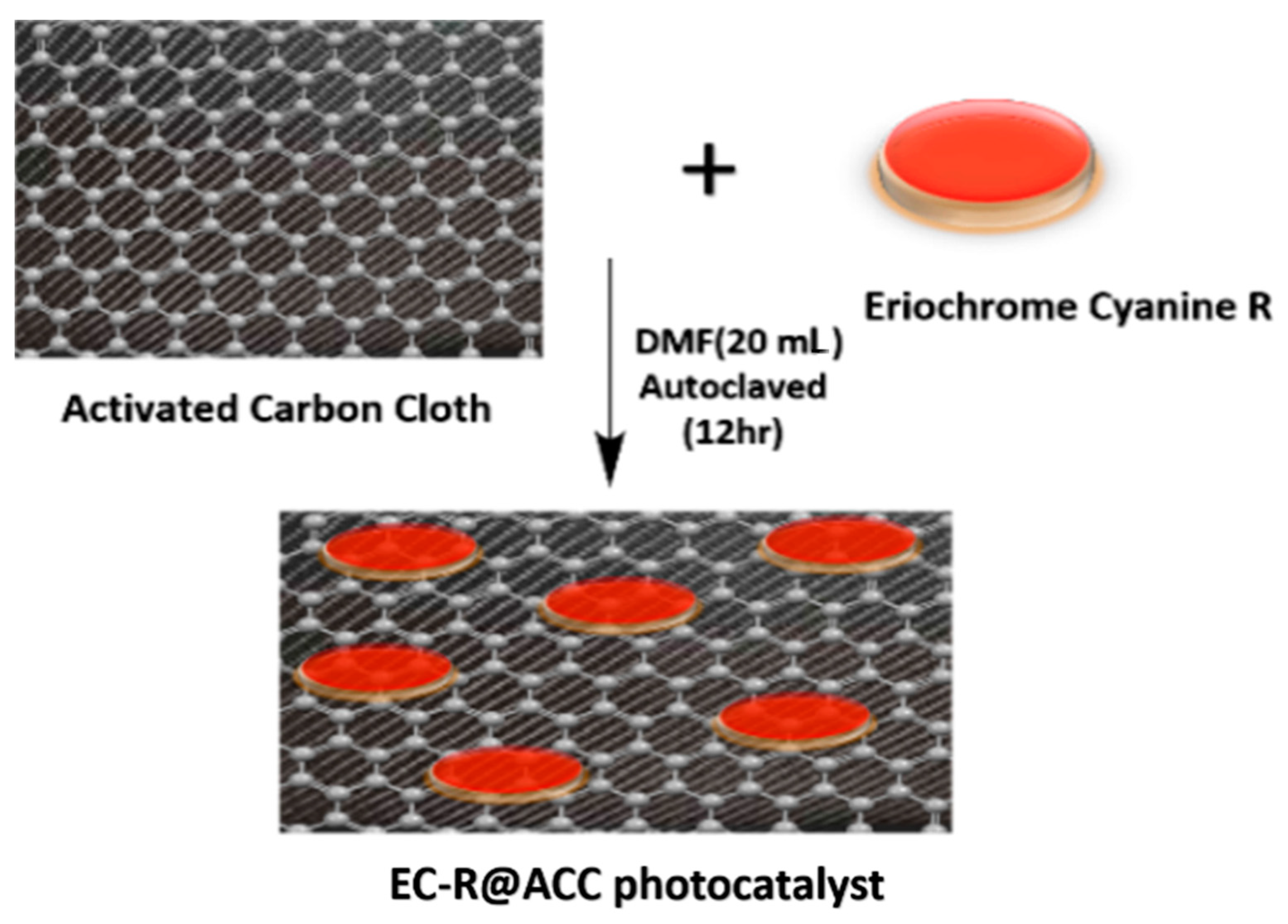 Catalysts 13 00666 g008a Catalysts 13 00666 g008a
