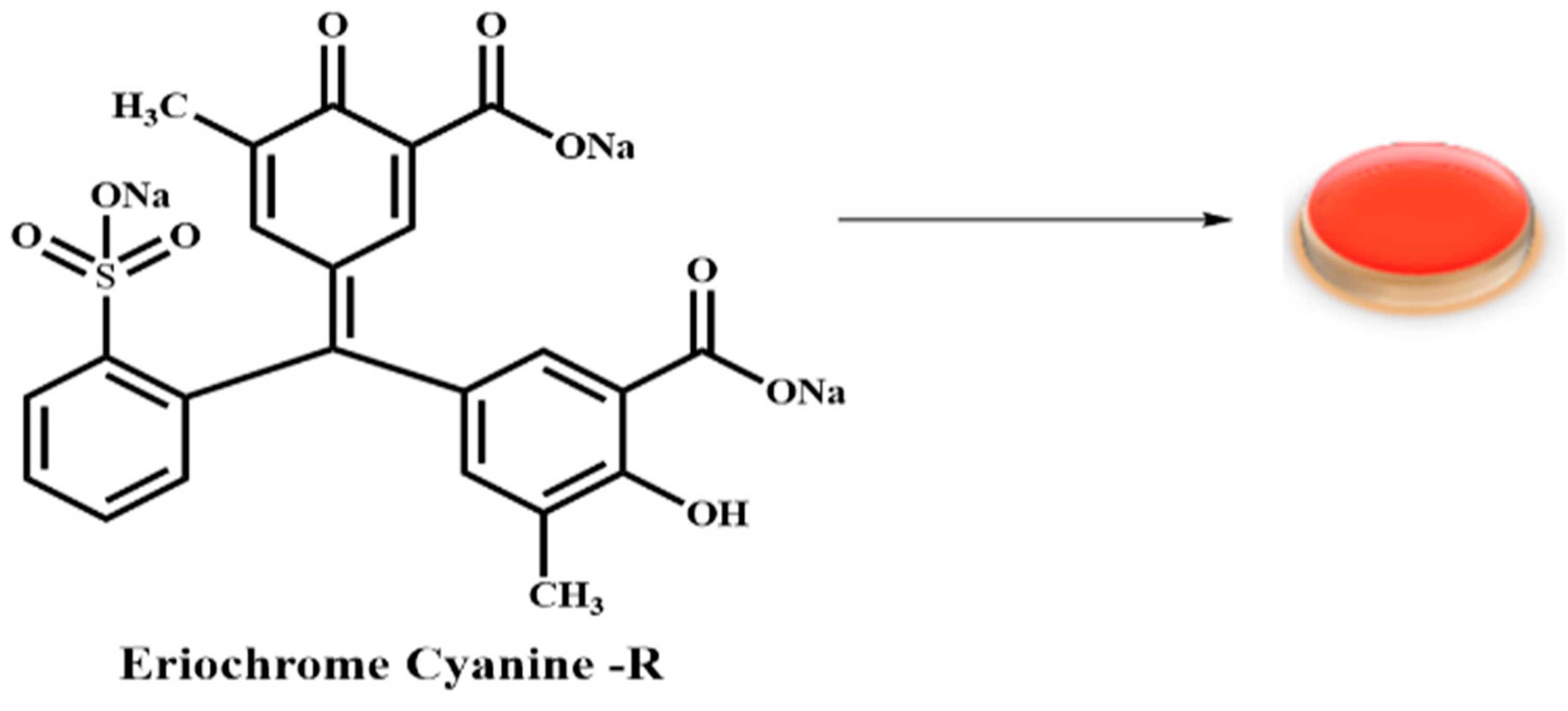 Catalysts 13 00666 g008b Catalysts 13 00666 g008b