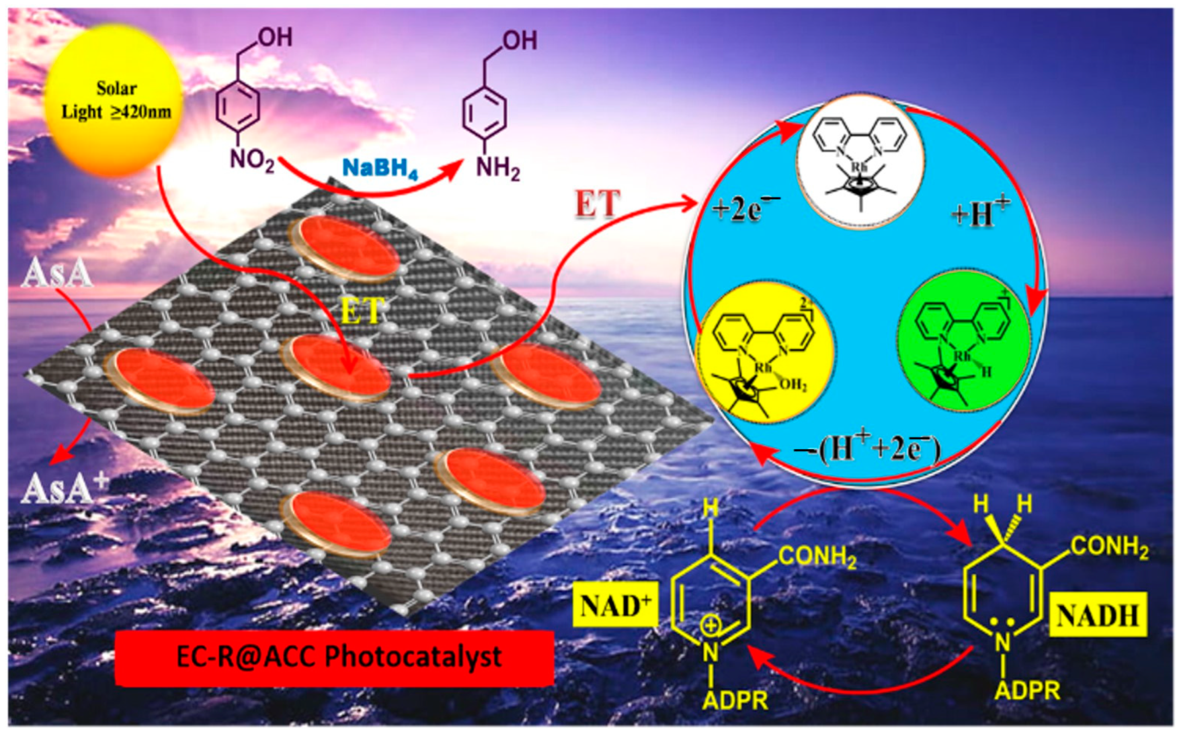 Catalysts 13 00666 sch001 Catalysts 13 00666 sch001