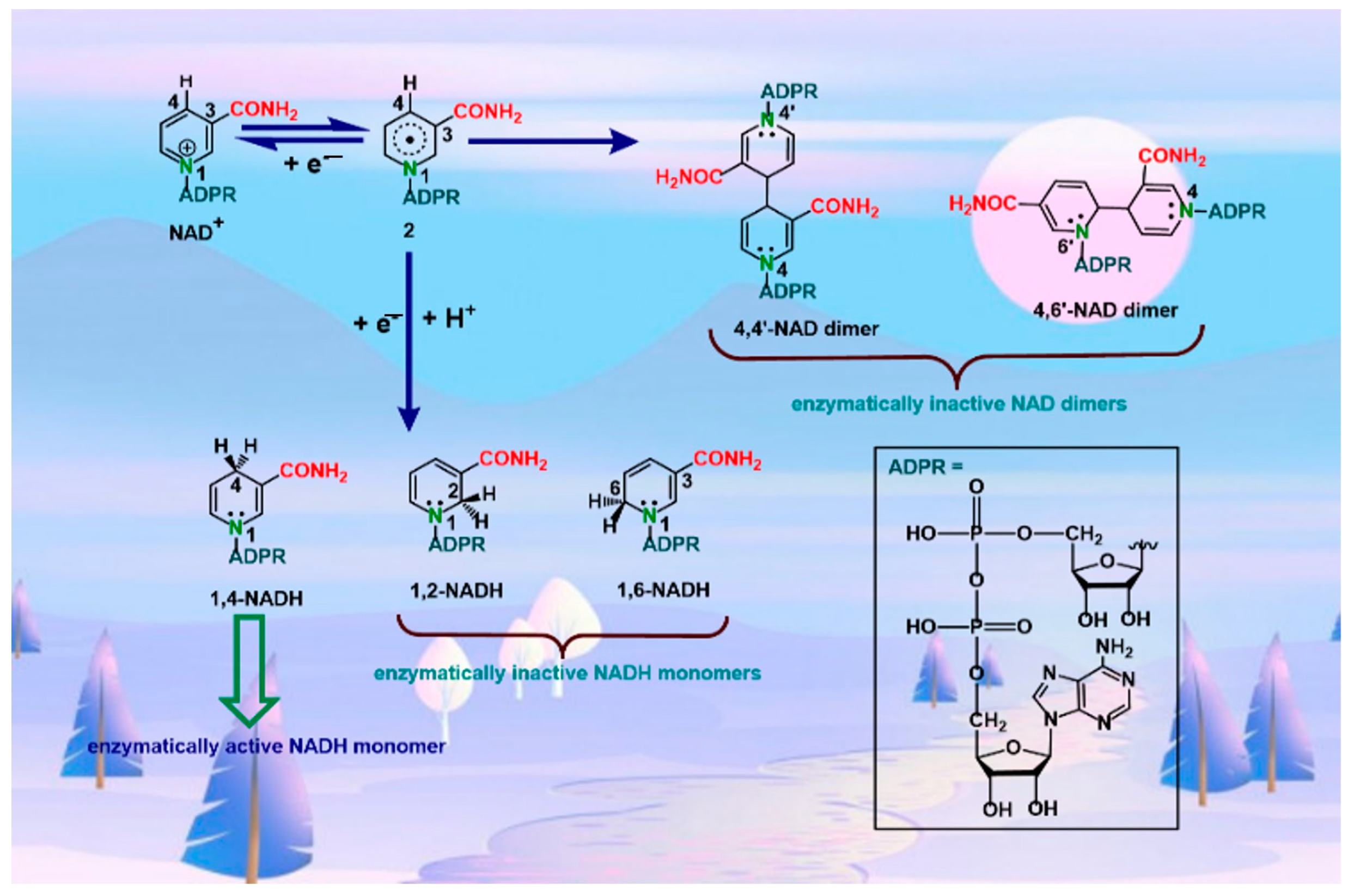 Catalysts 13 00666 sch003 Catalysts 13 00666 sch003
