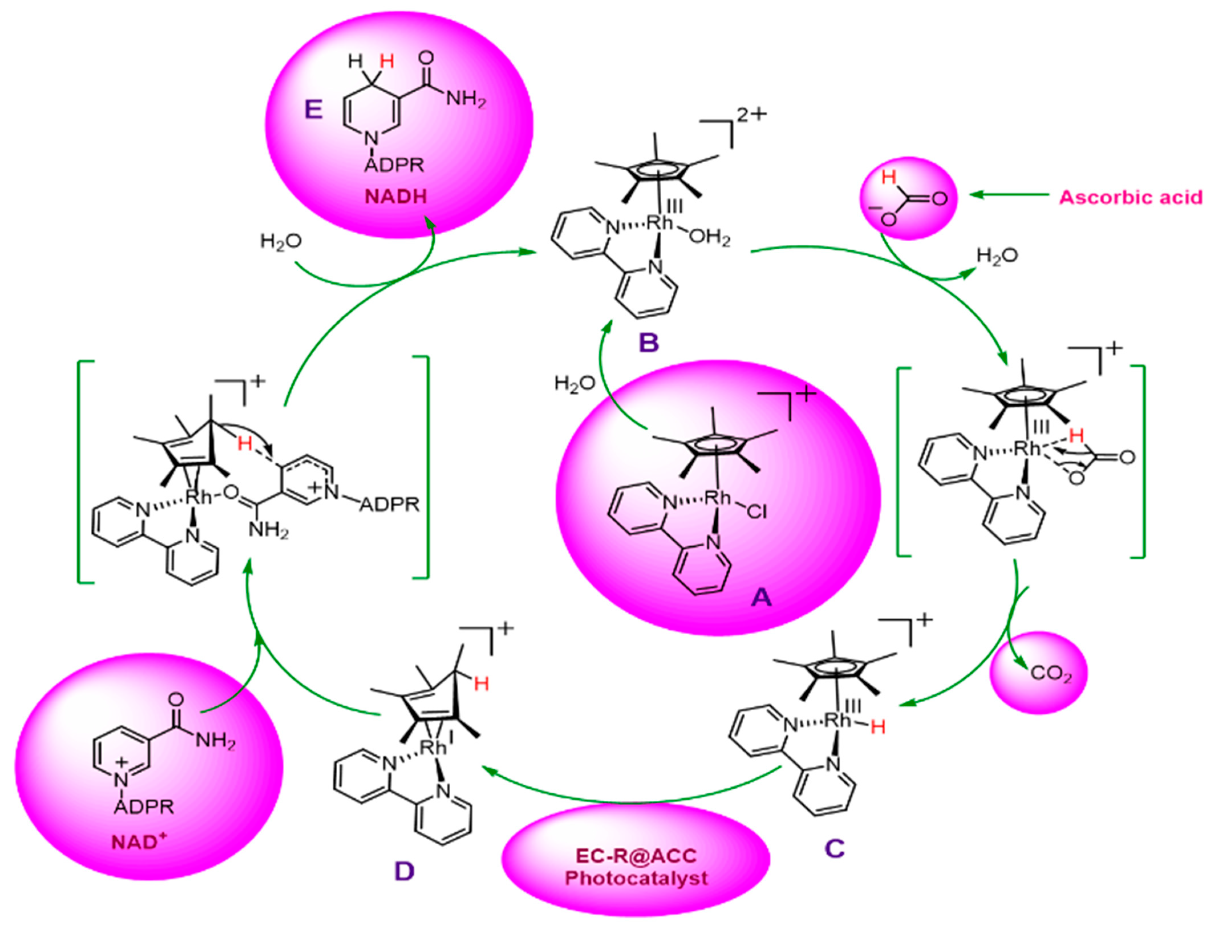 Catalysts 13 00666 sch004 Catalysts 13 00666 sch004
