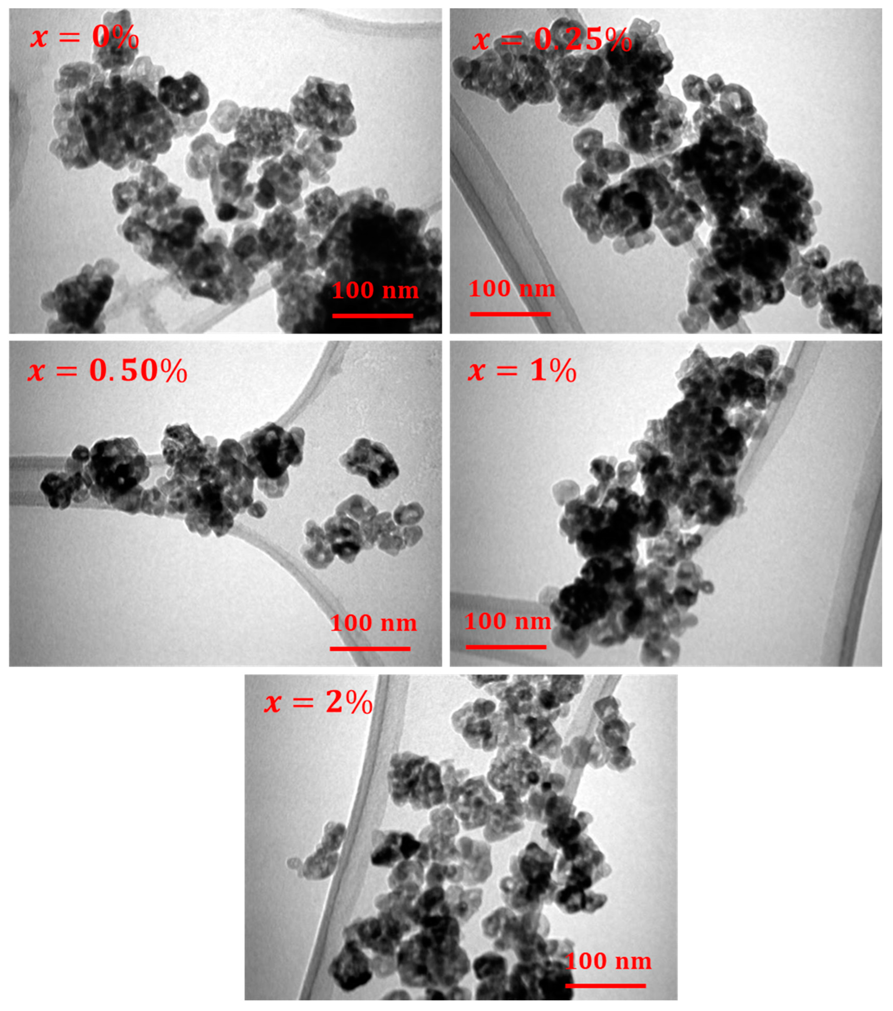 Catalysts 13 00668 g002