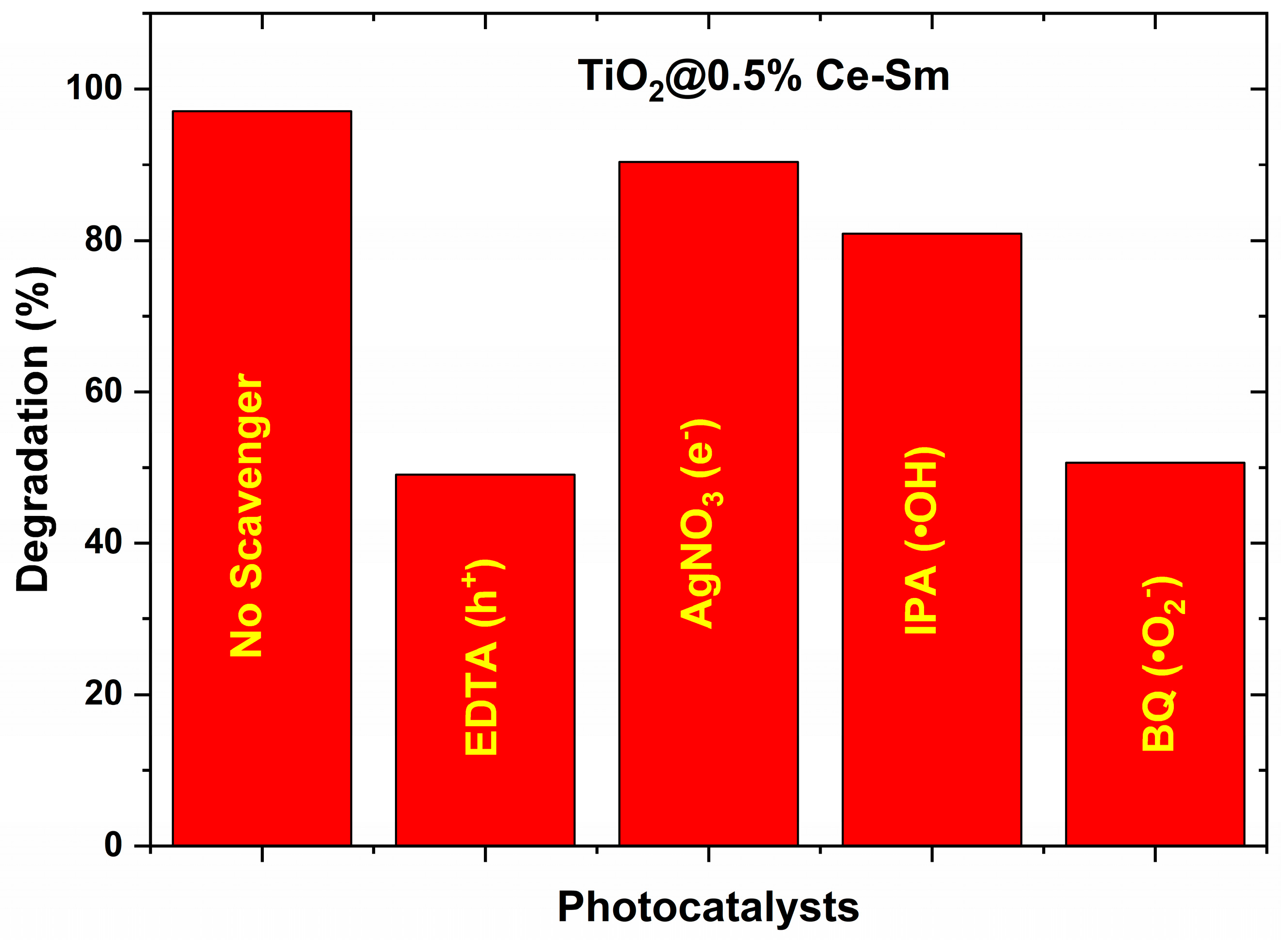 Catalysts 13 00668 g014