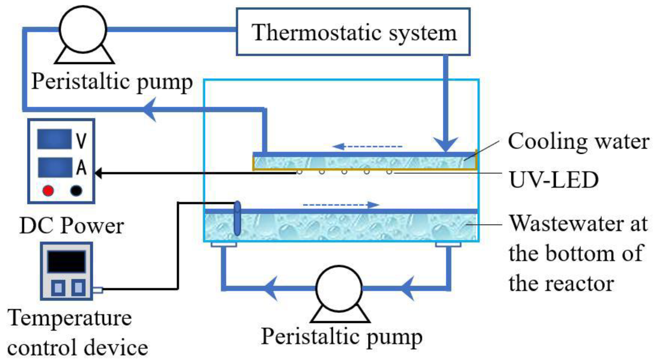 Catalysts 13 00669 g001
