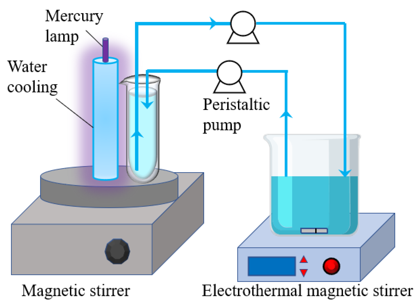 Catalysts 13 00669 g013