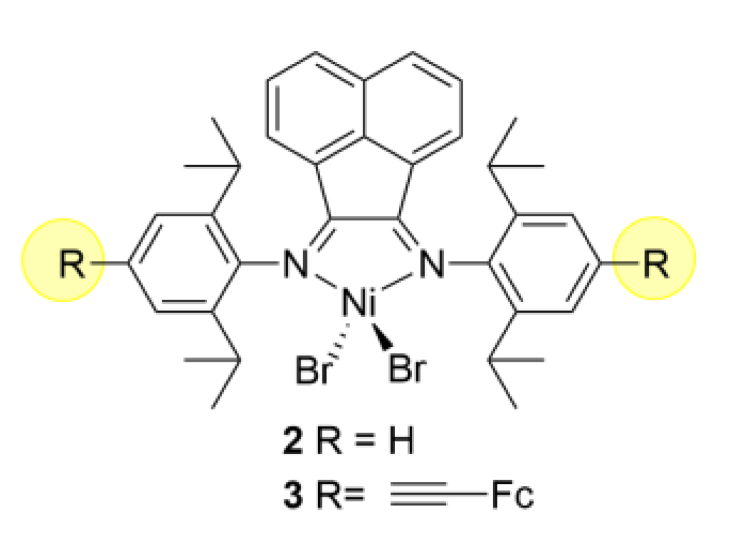 Catalysts 13 00670 g002