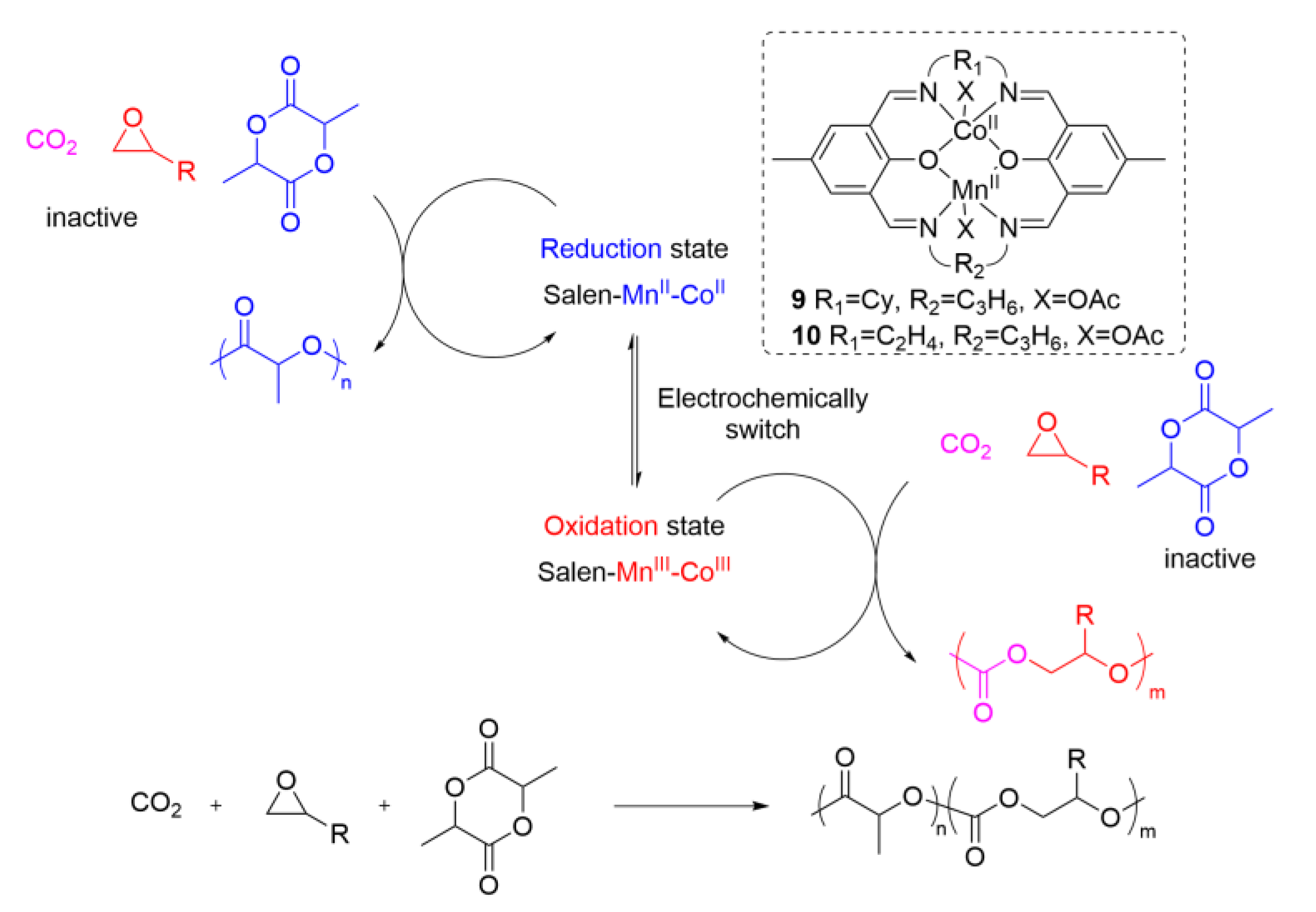 Catalysts 13 00670 g007