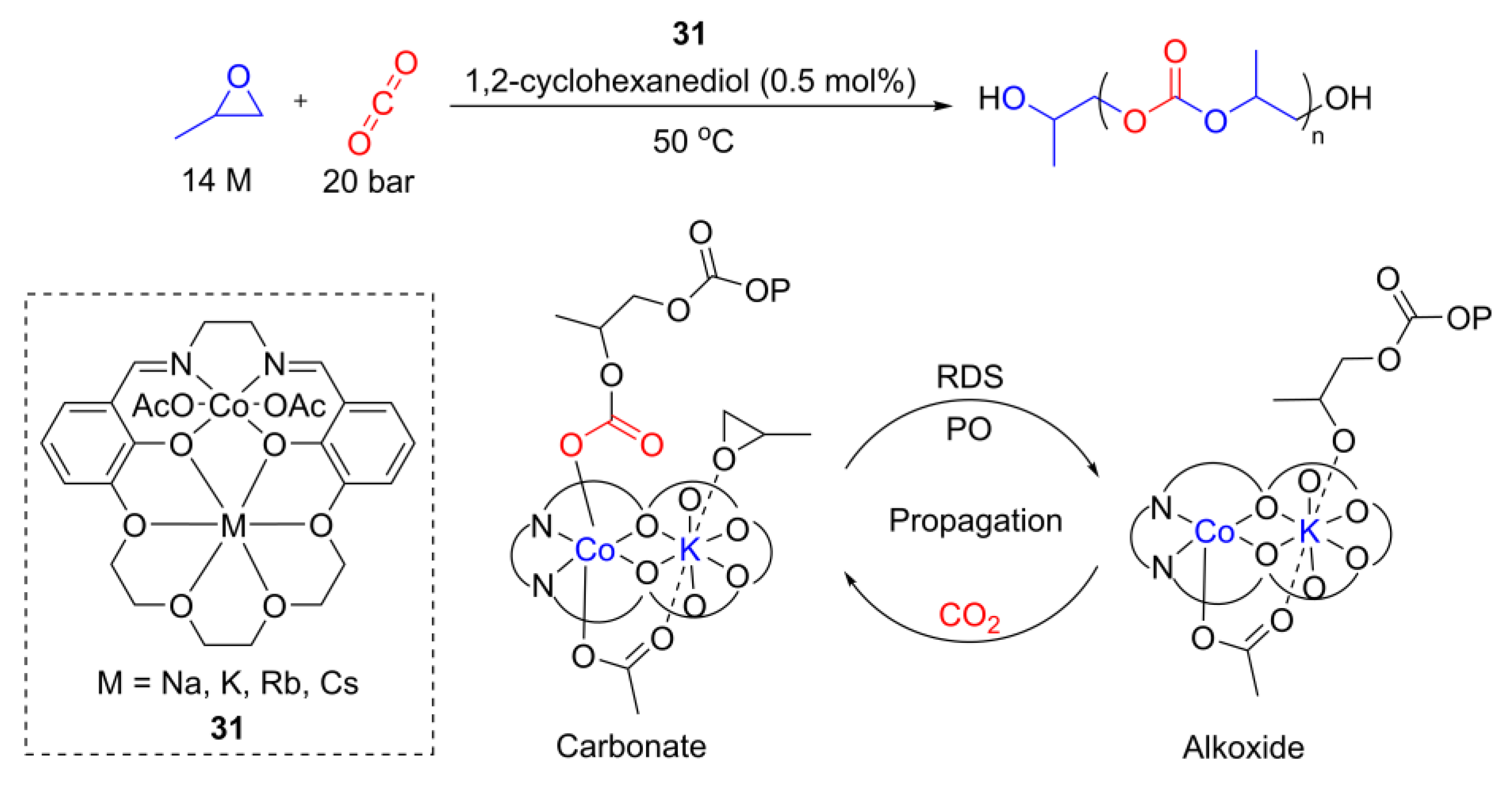 Catalysts 13 00670 g017