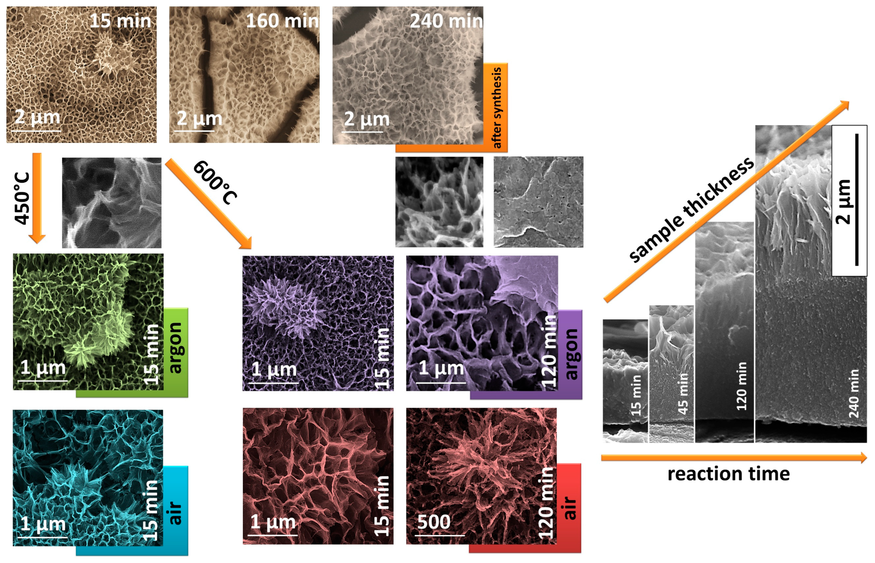 Catalysts 13 00671 g001