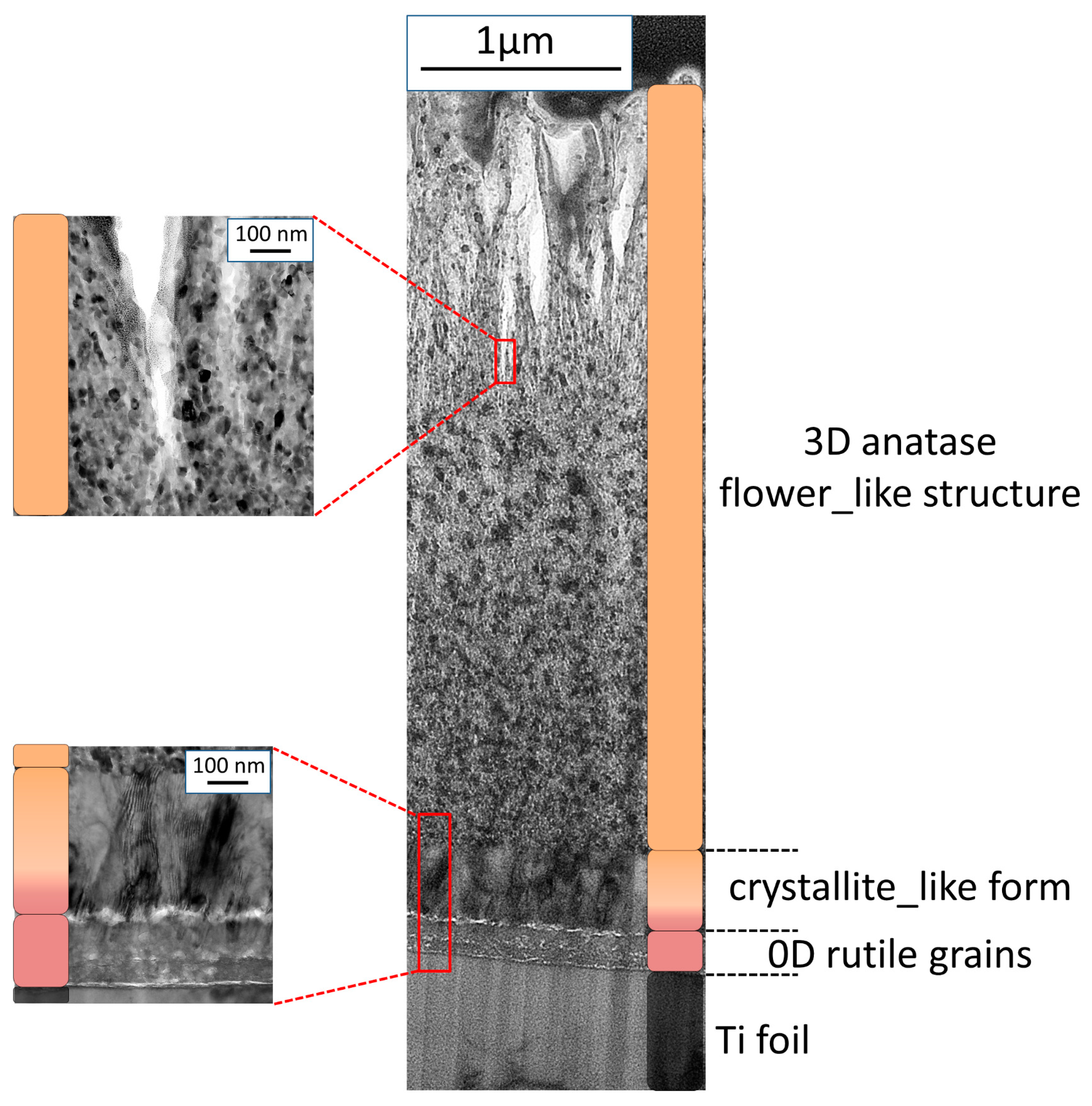 Catalysts 13 00671 g006