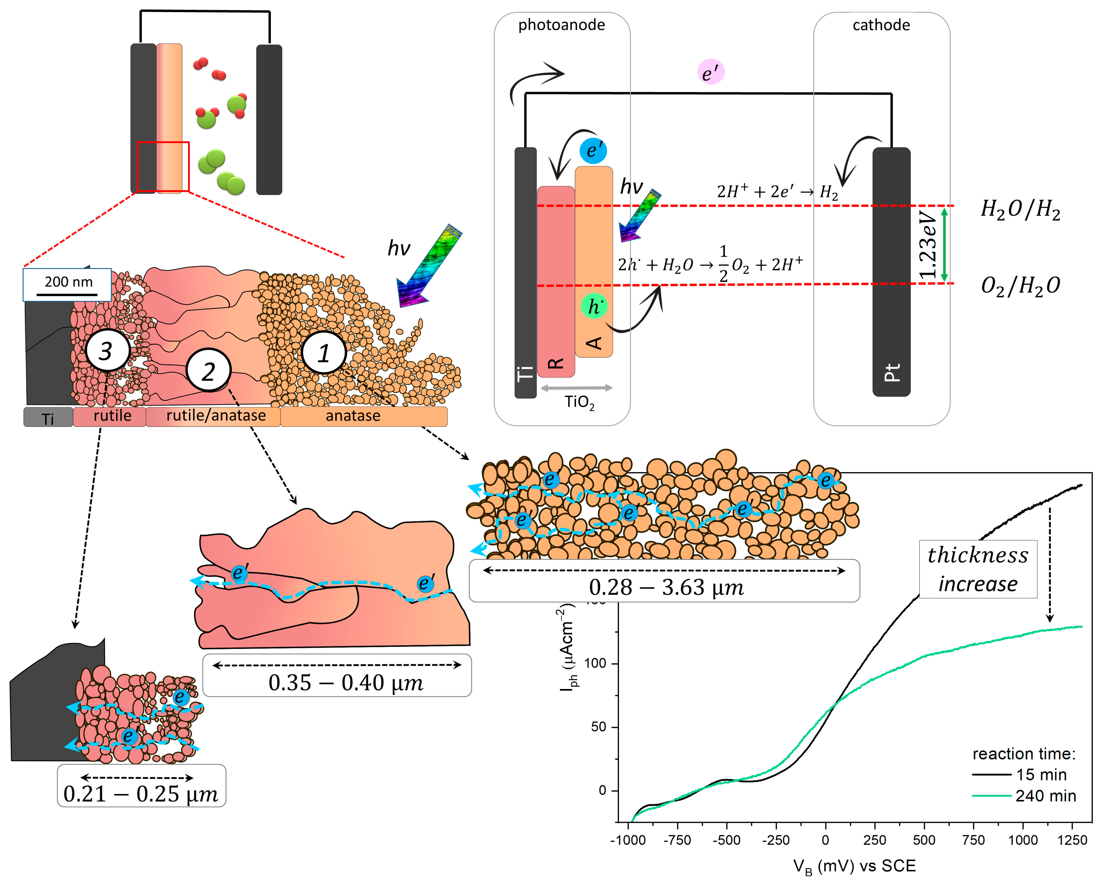 Catalysts 13 00671 g009