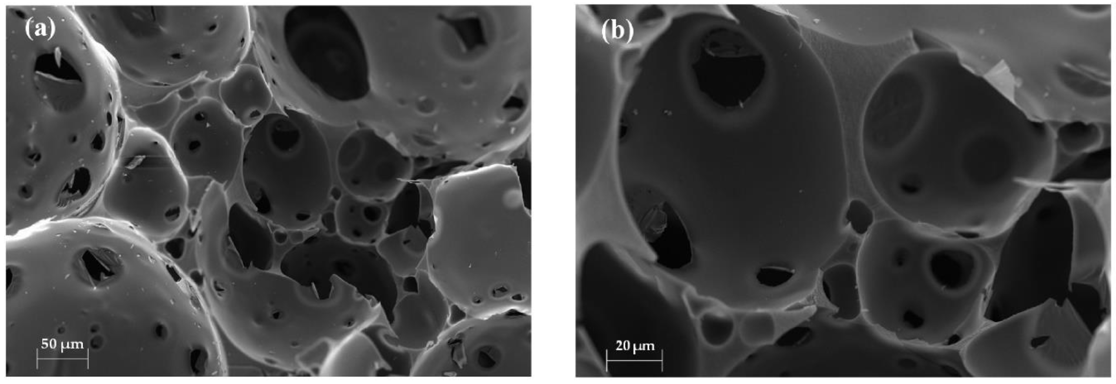 Catalysts 13 00674 g005