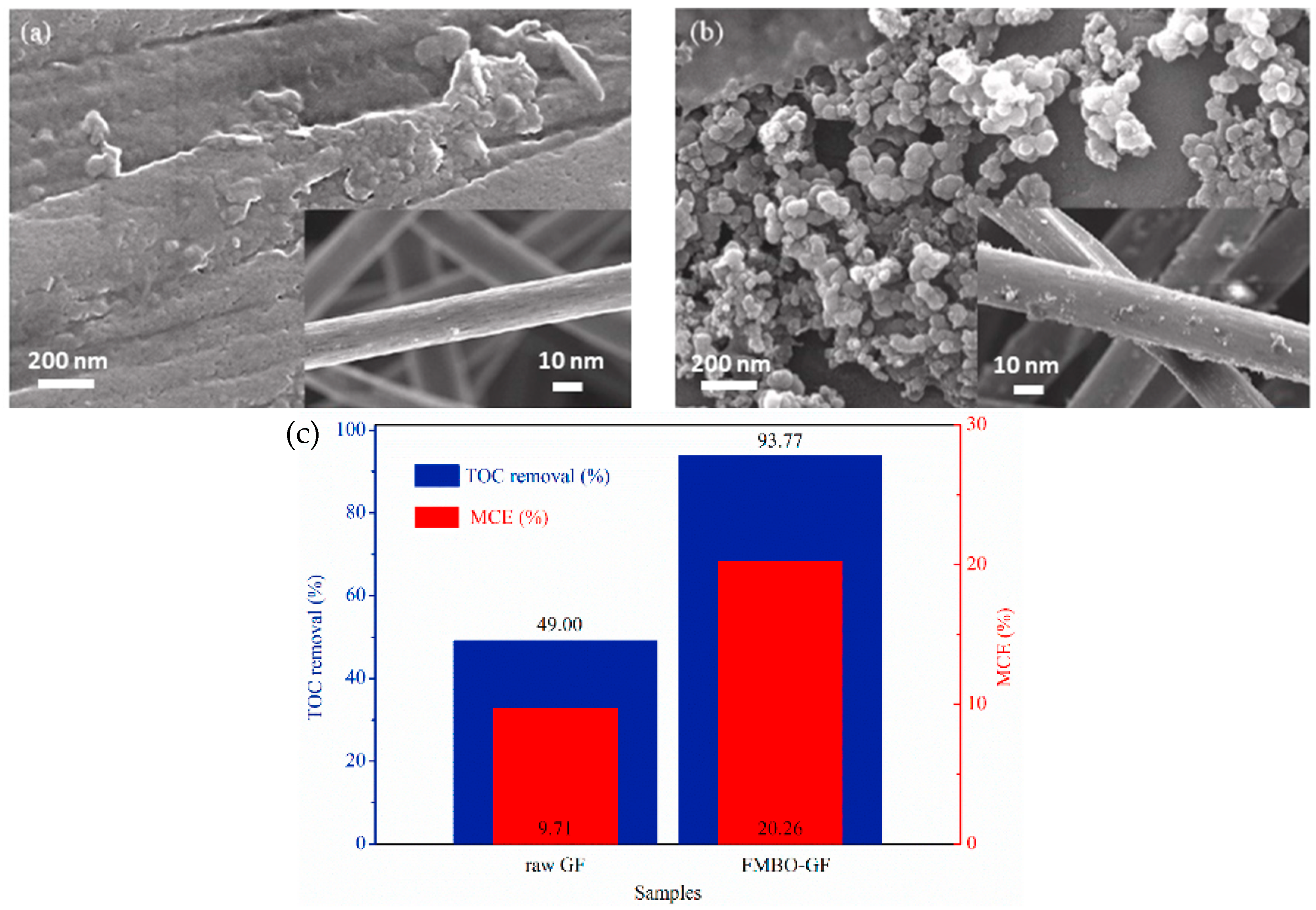 Catalysts 13 00674 g007
