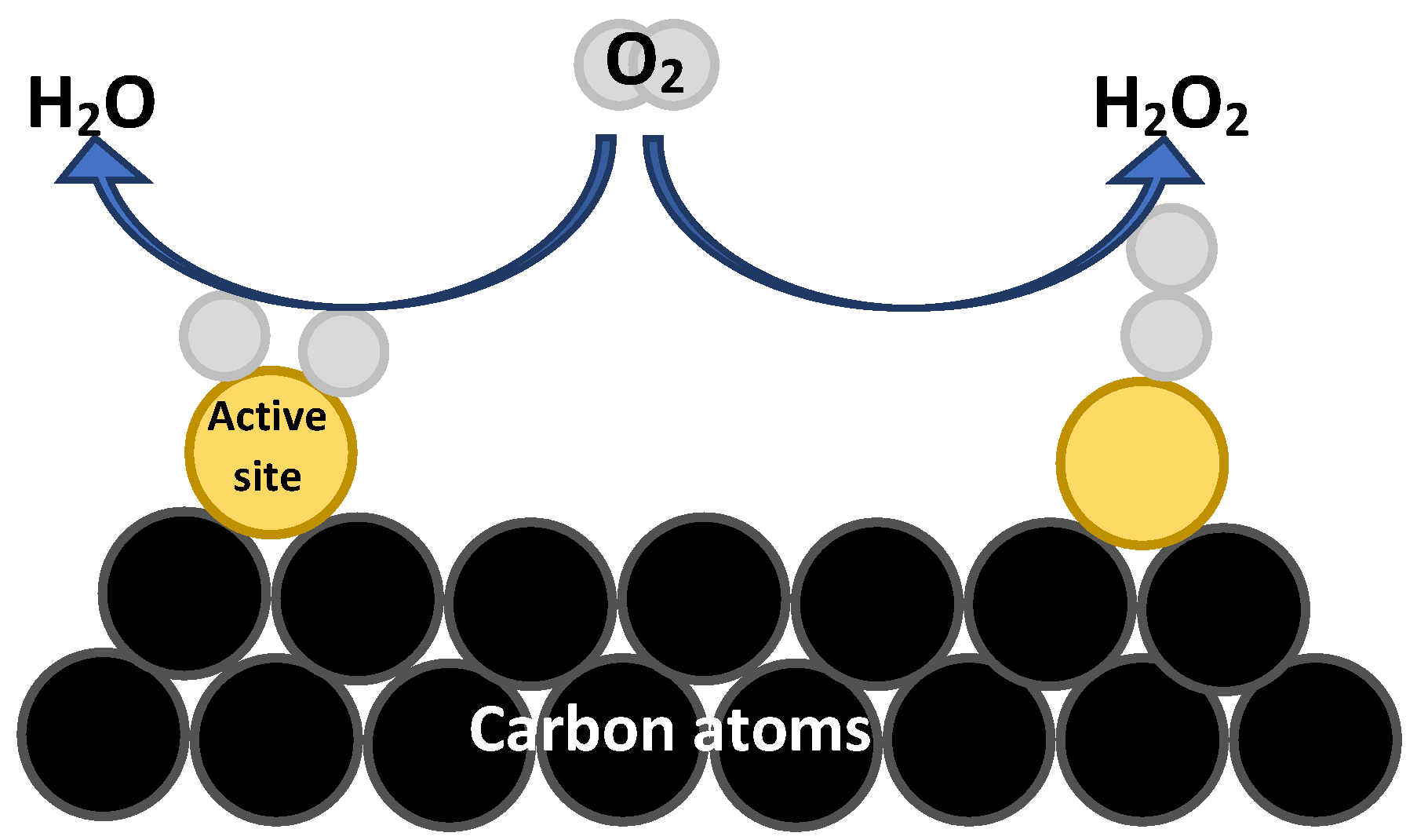 Catalysts 13 00674 g012