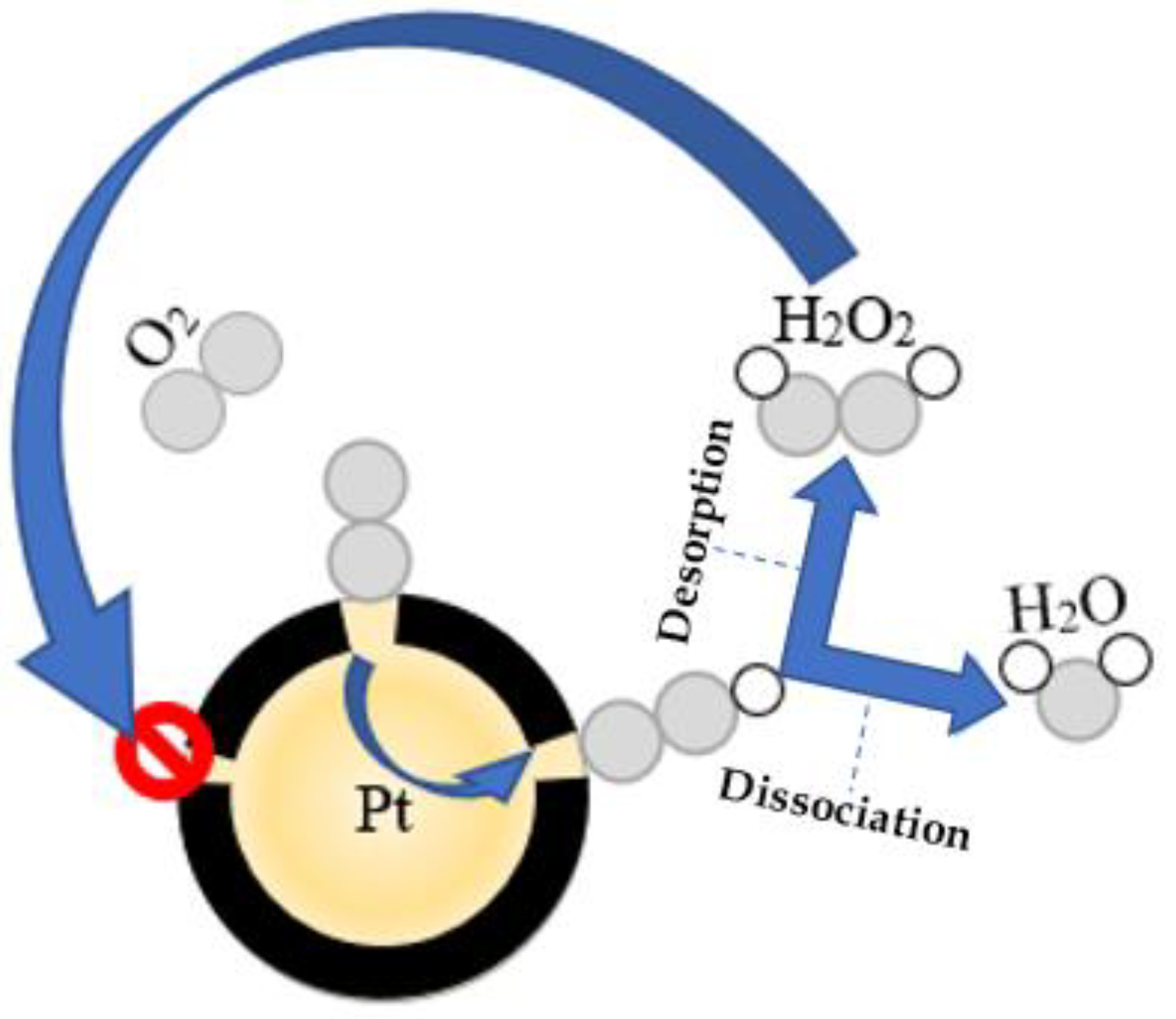 Catalysts 13 00674 g013