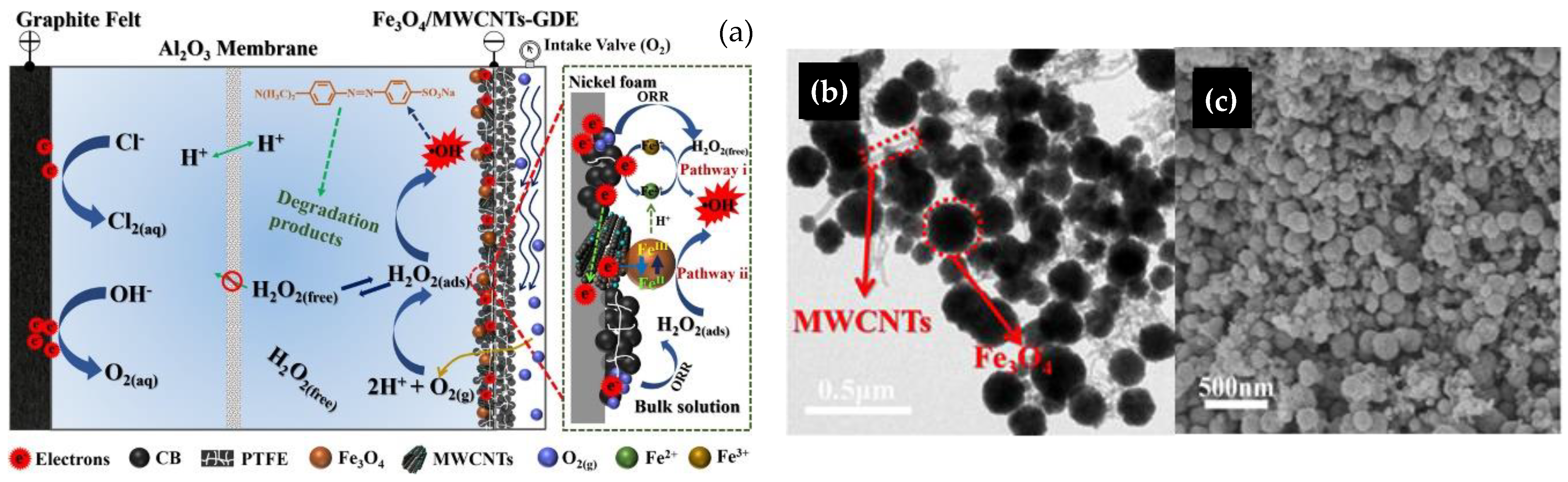 Catalysts 13 00674 g014
