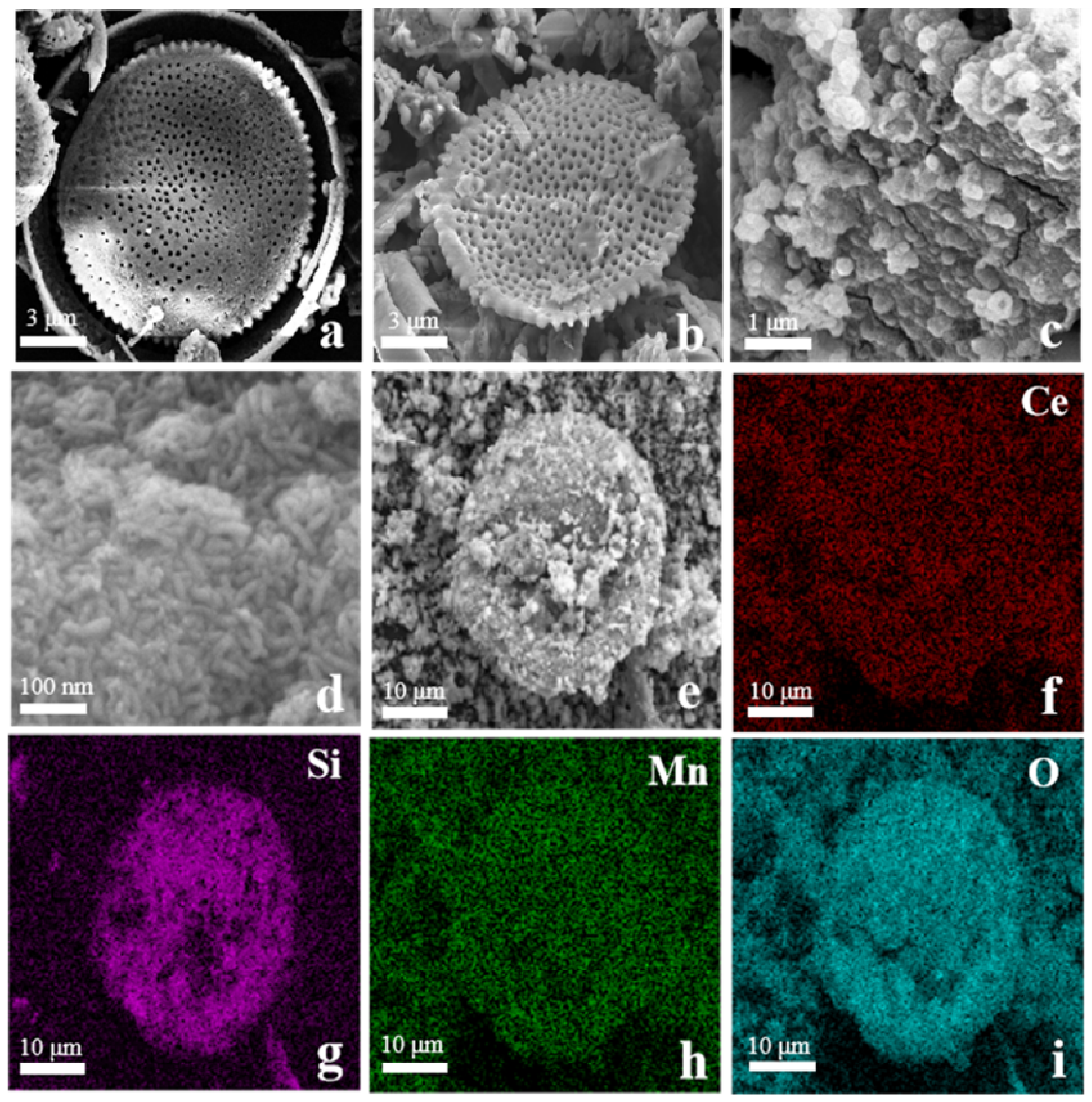 Catalysts 13 00676 g002