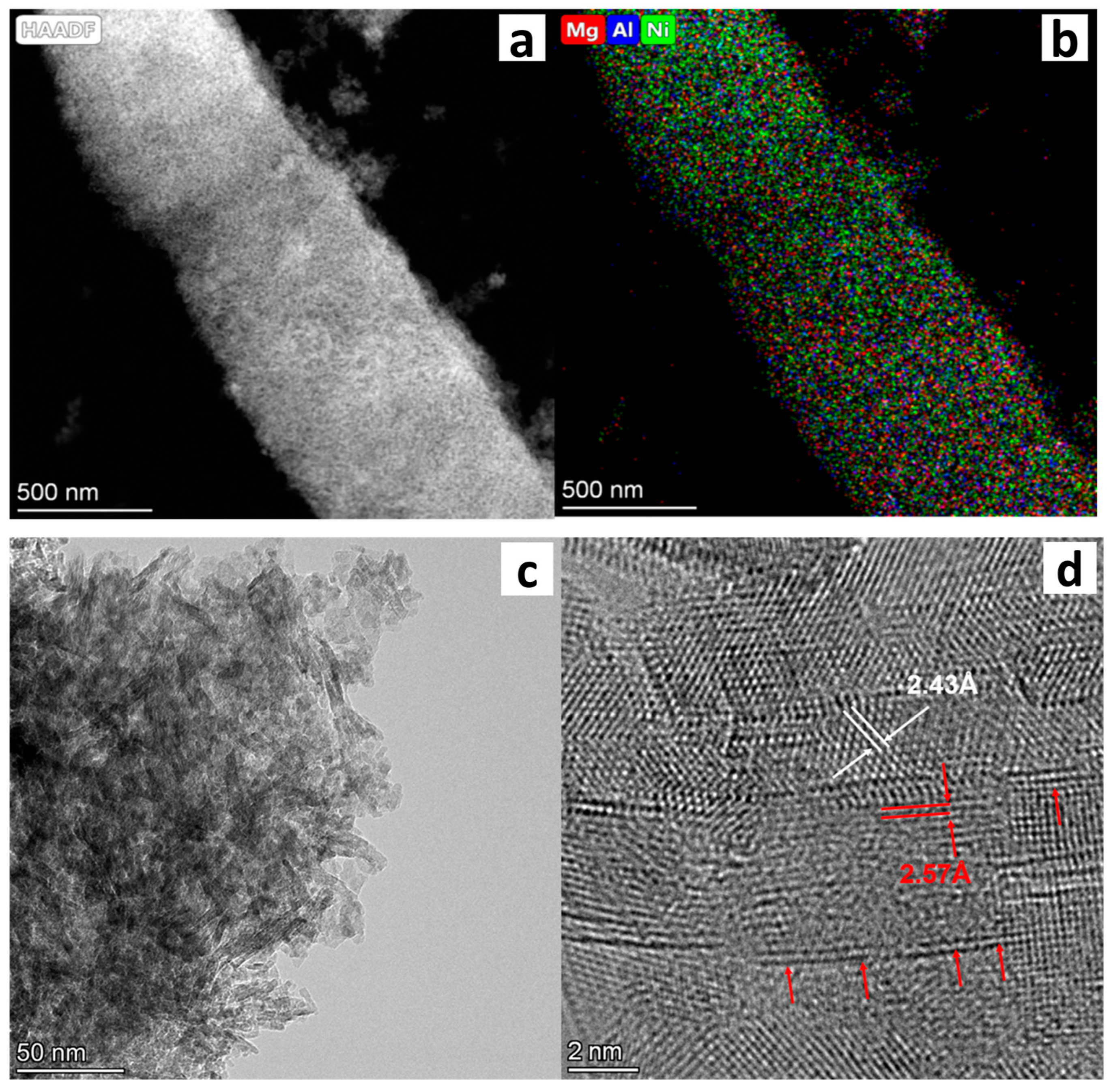 Catalysts 13 00678 g002