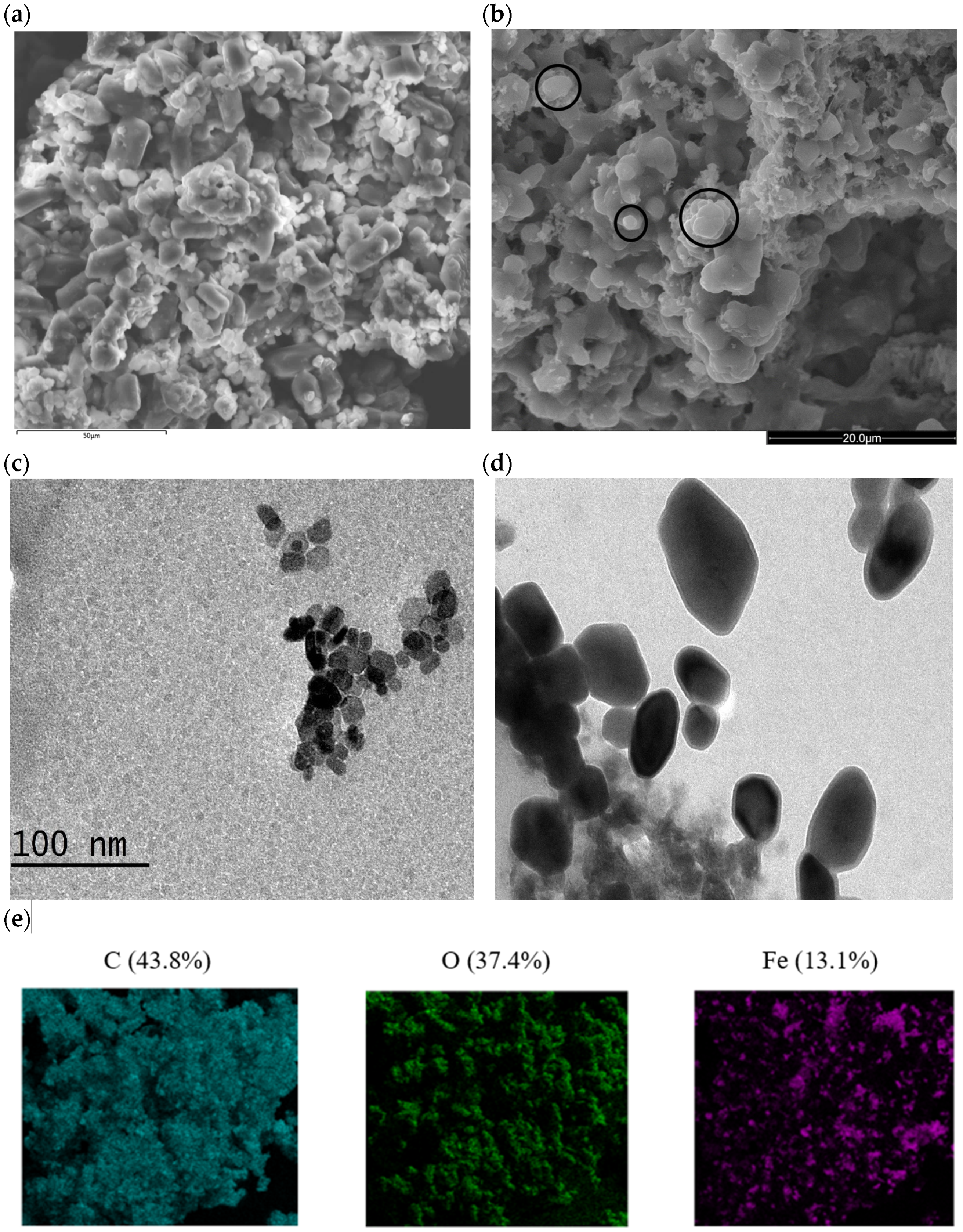 Catalysts 13 00679 g002