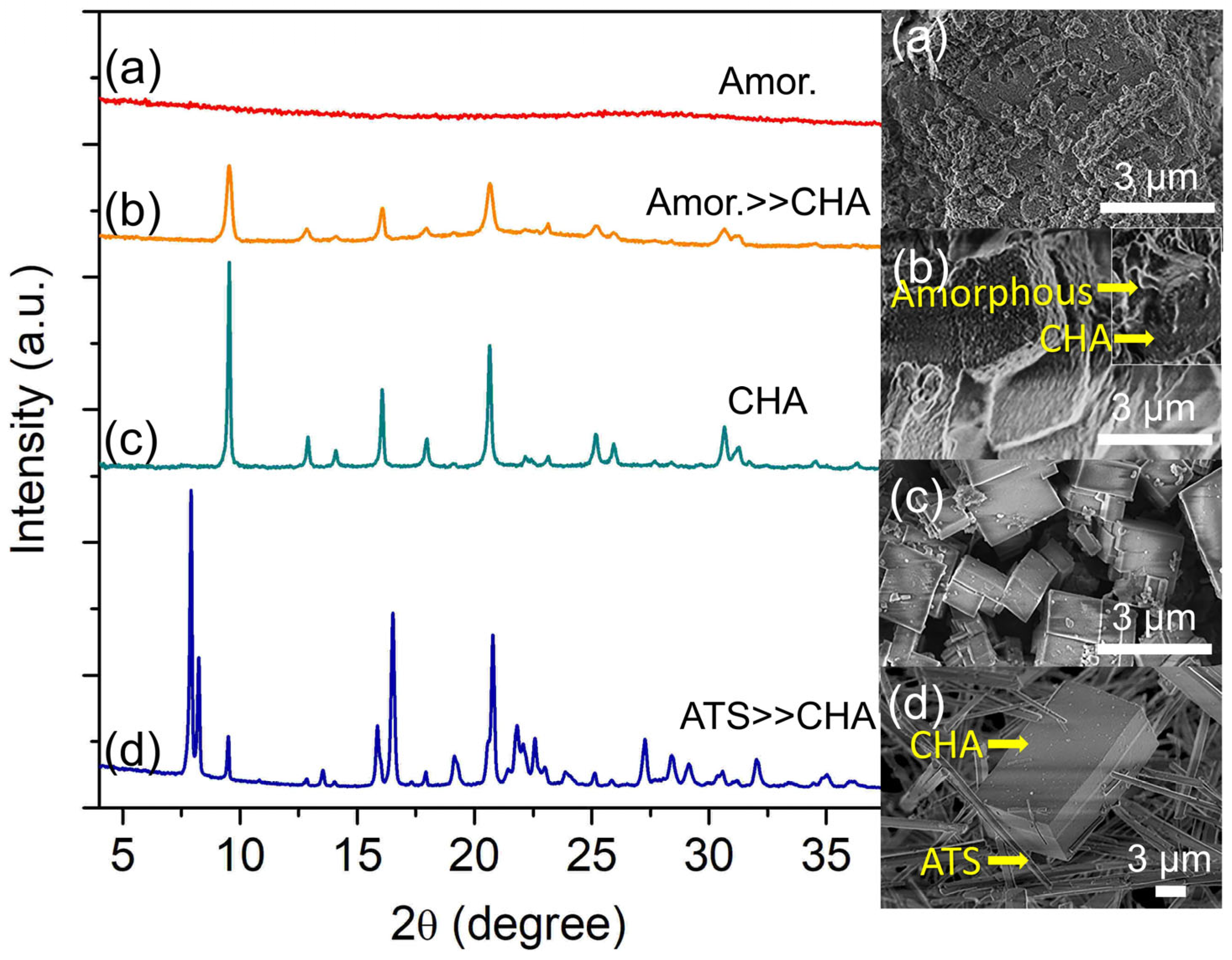 Catalysts 13 00680 g001