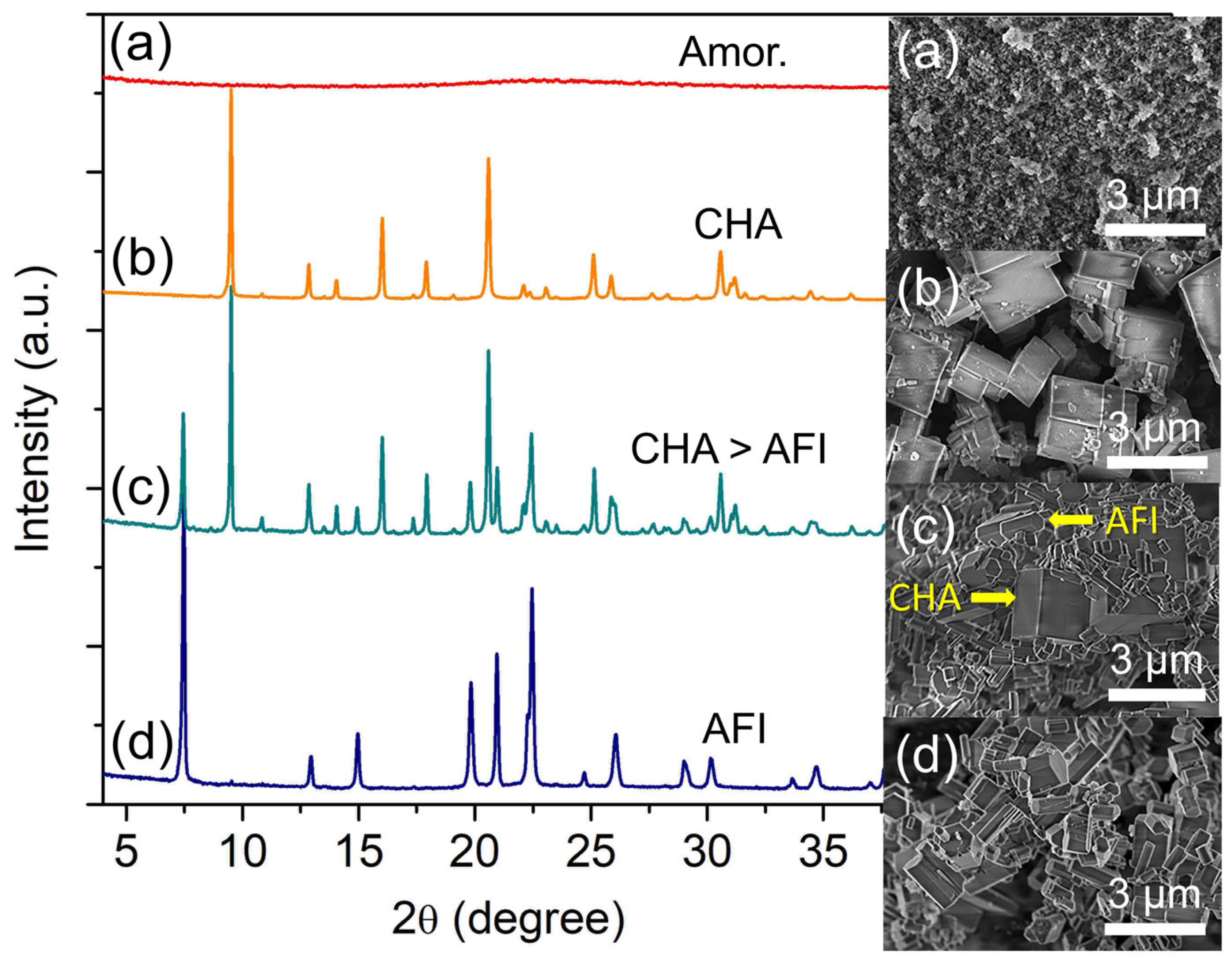 Catalysts 13 00680 g002