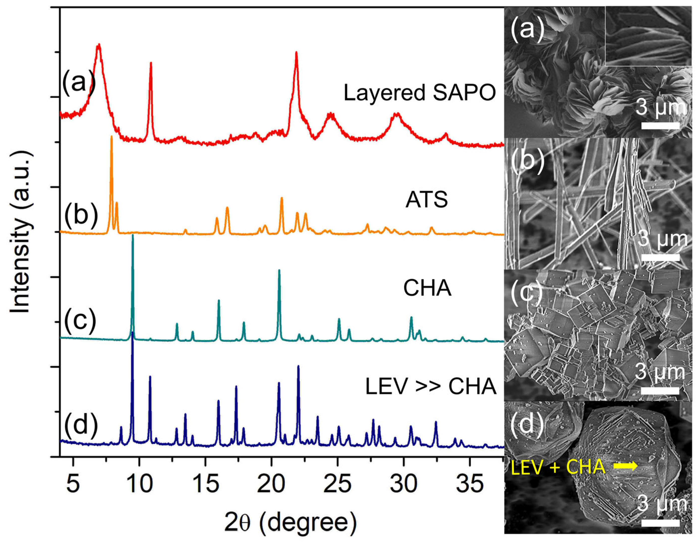 Catalysts 13 00680 g003