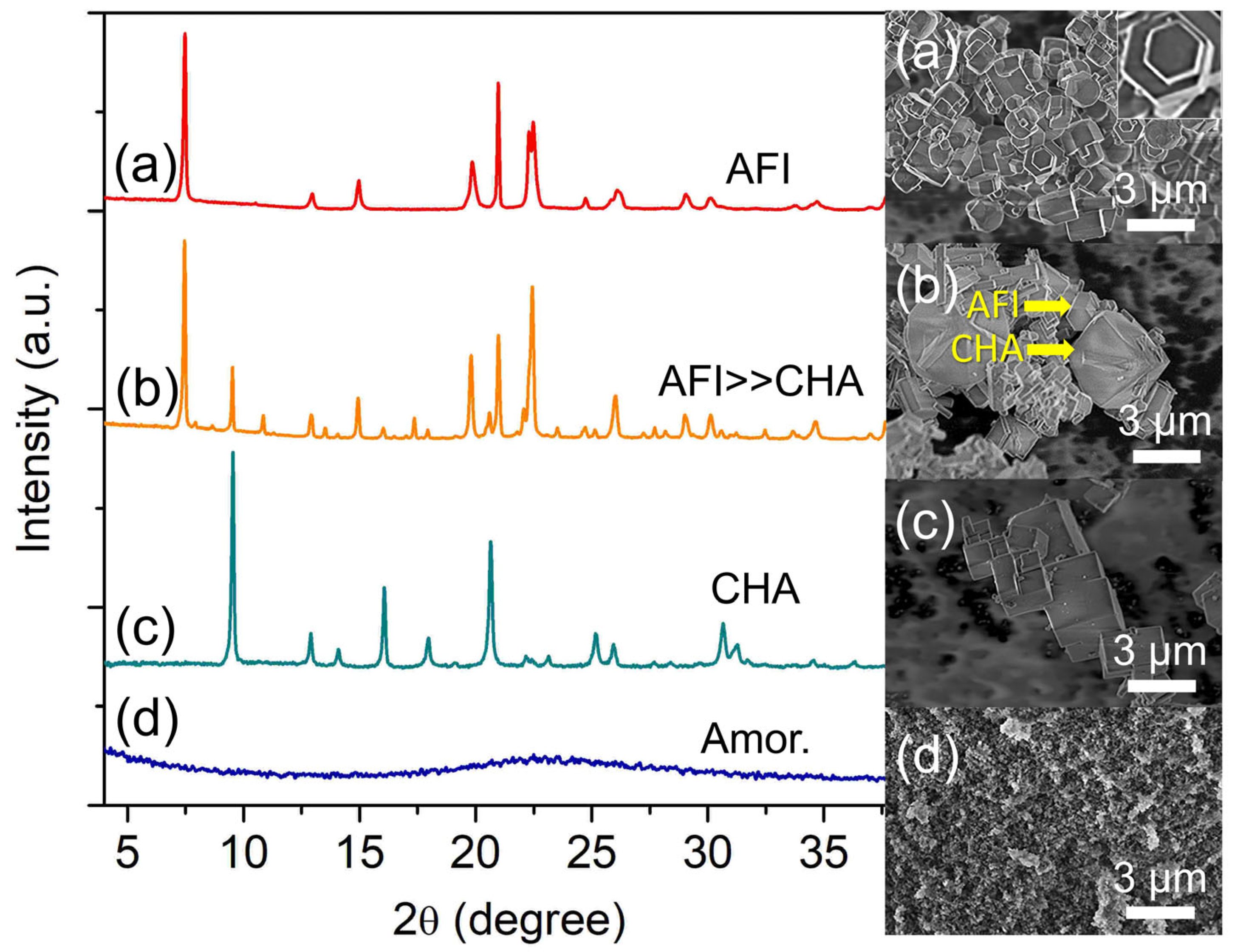 Catalysts 13 00680 g004